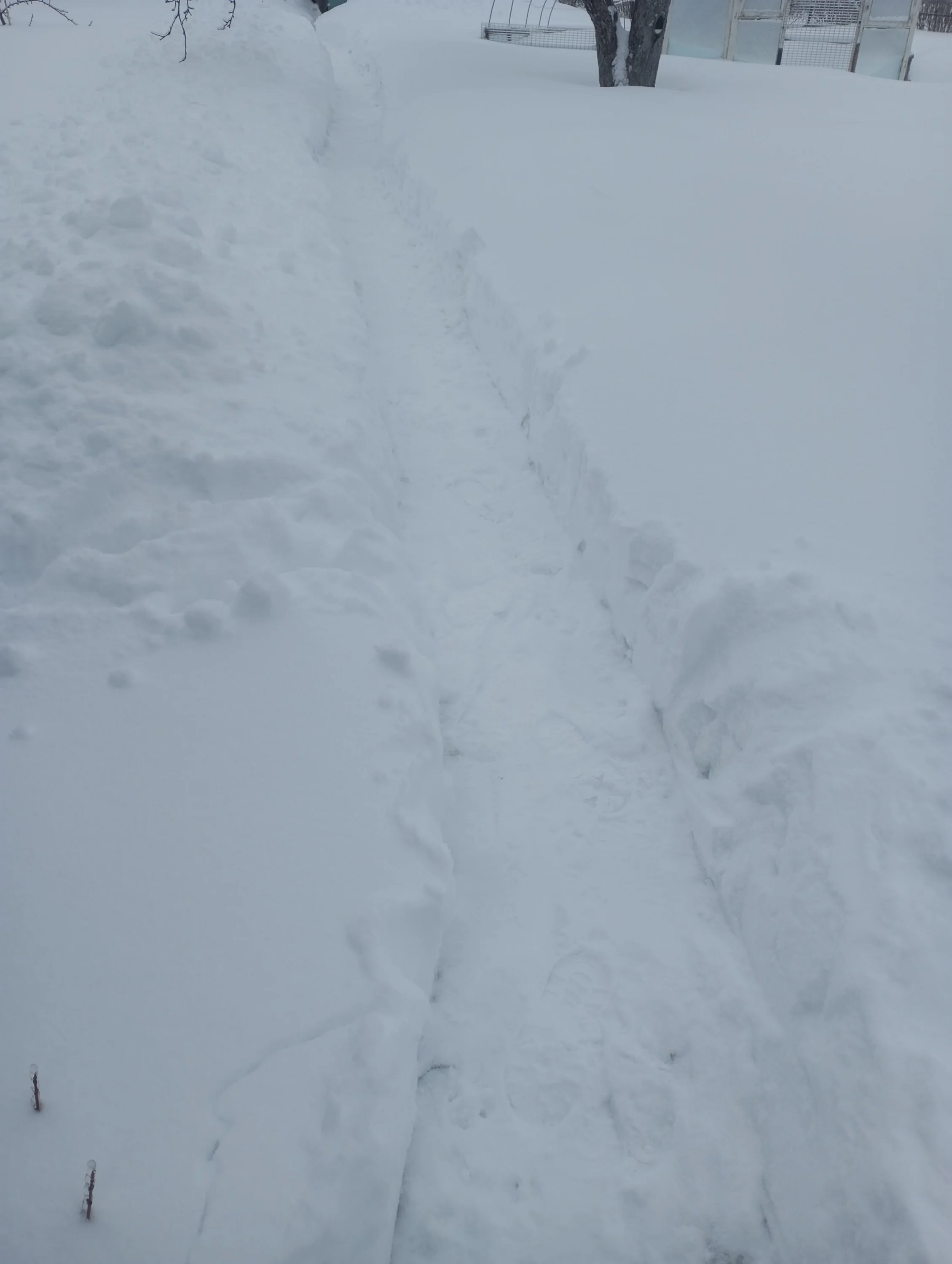 2024-02-16 09-33-13.webp