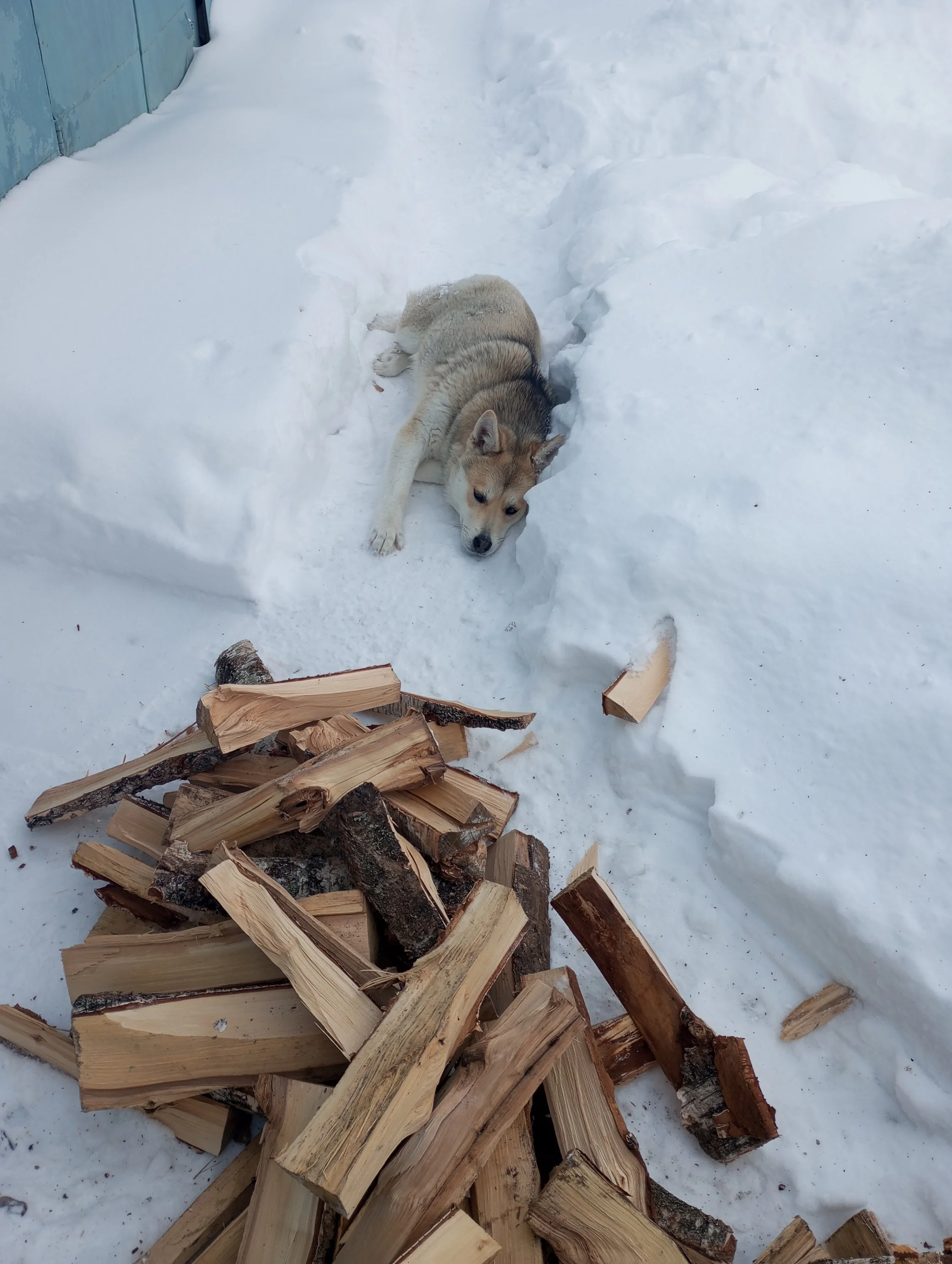 2024-02-17 10-34-37.webp