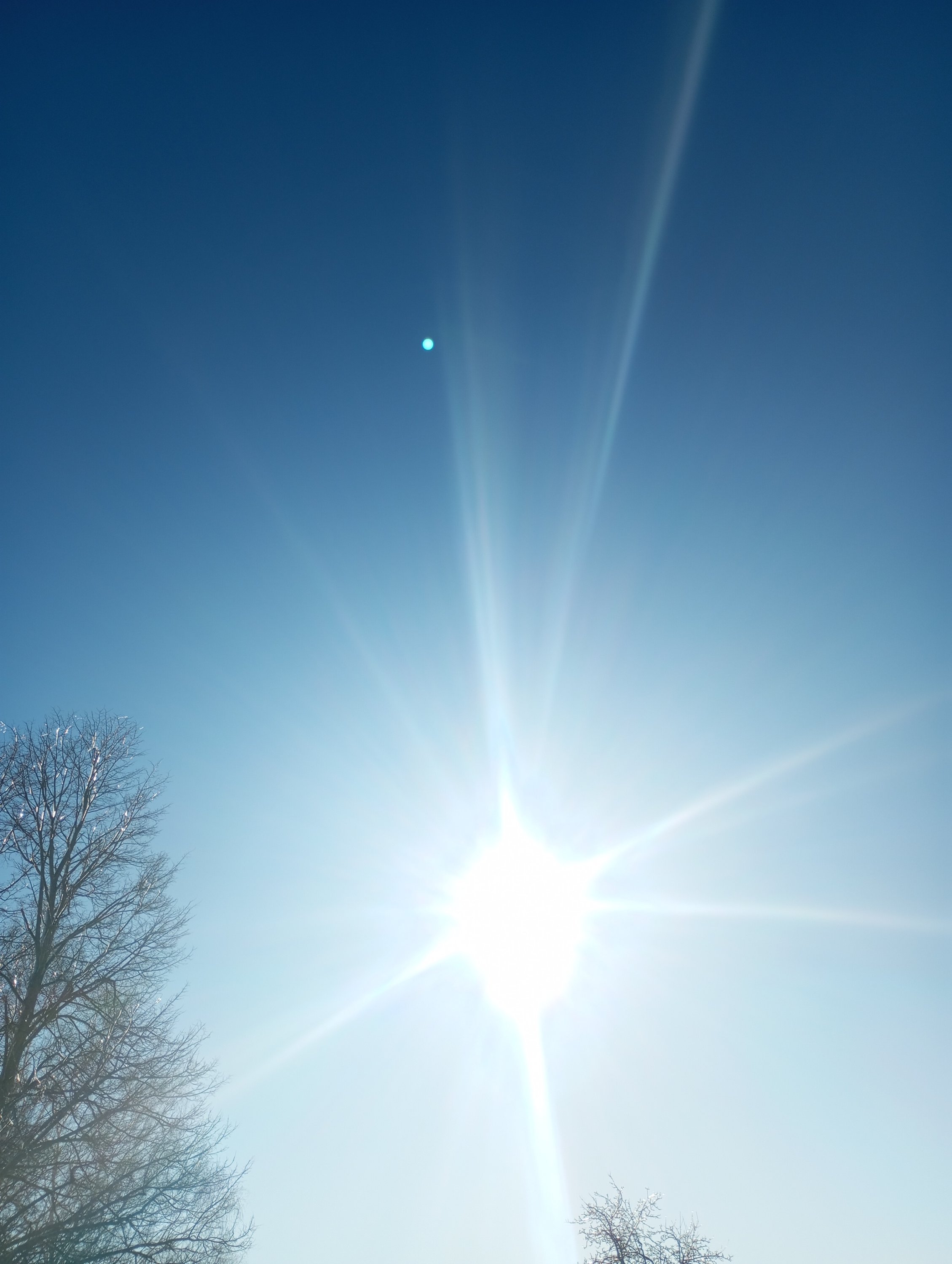 2024-02-19 14-16-39.JPG