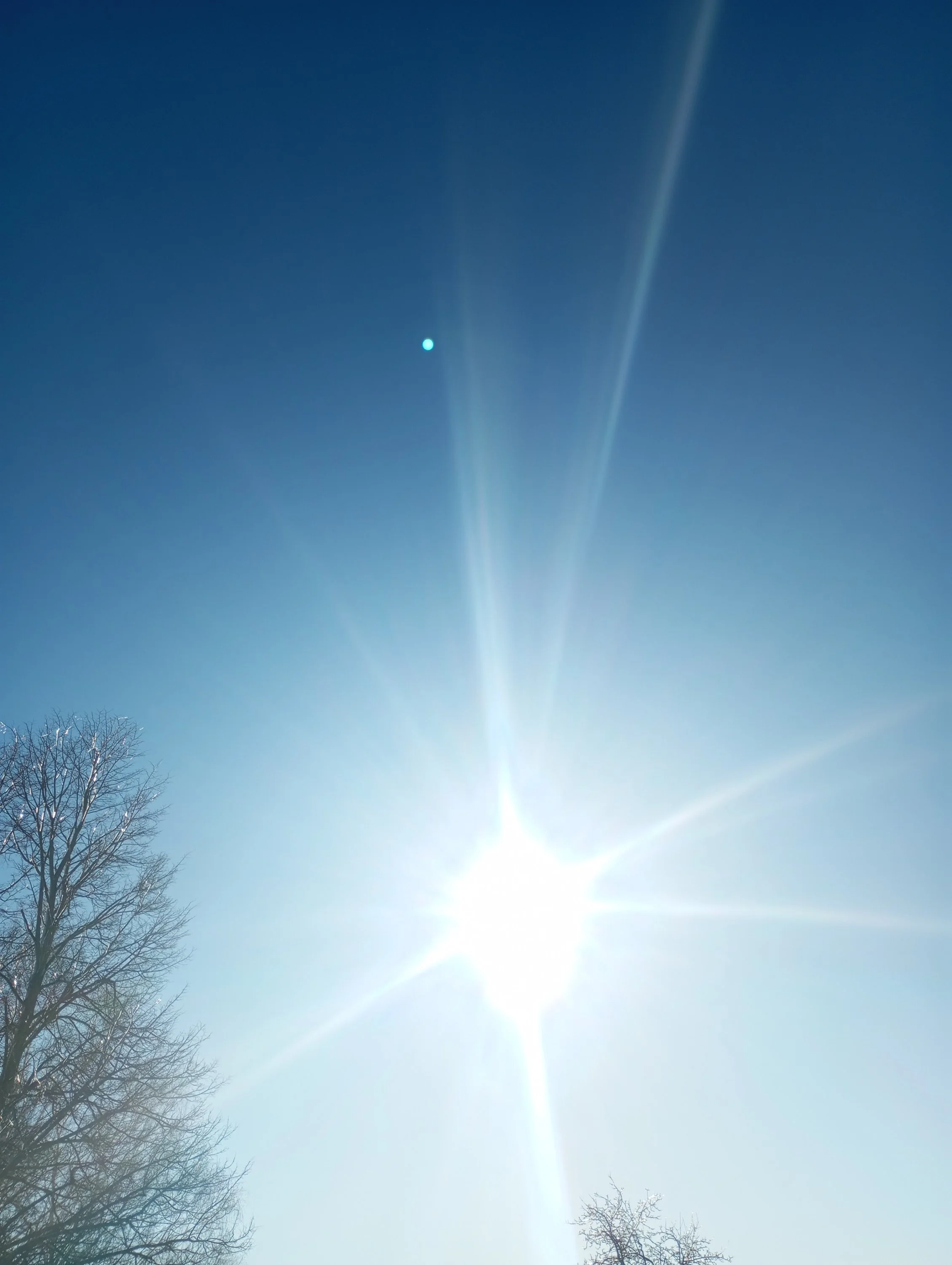 2024-02-19 14-16-39.JPG