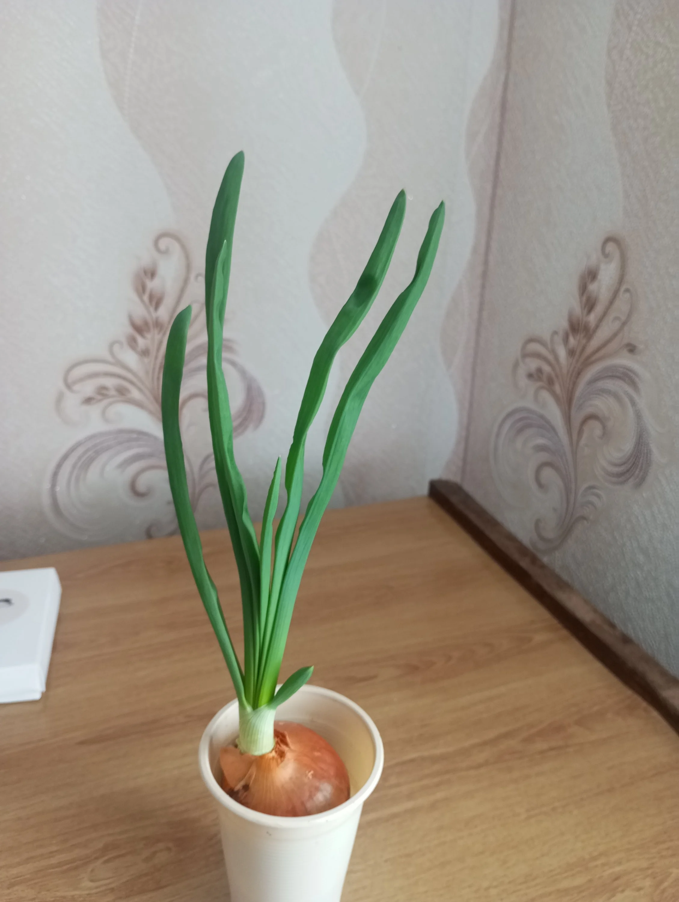 2024-02-20 10-11-45.webp