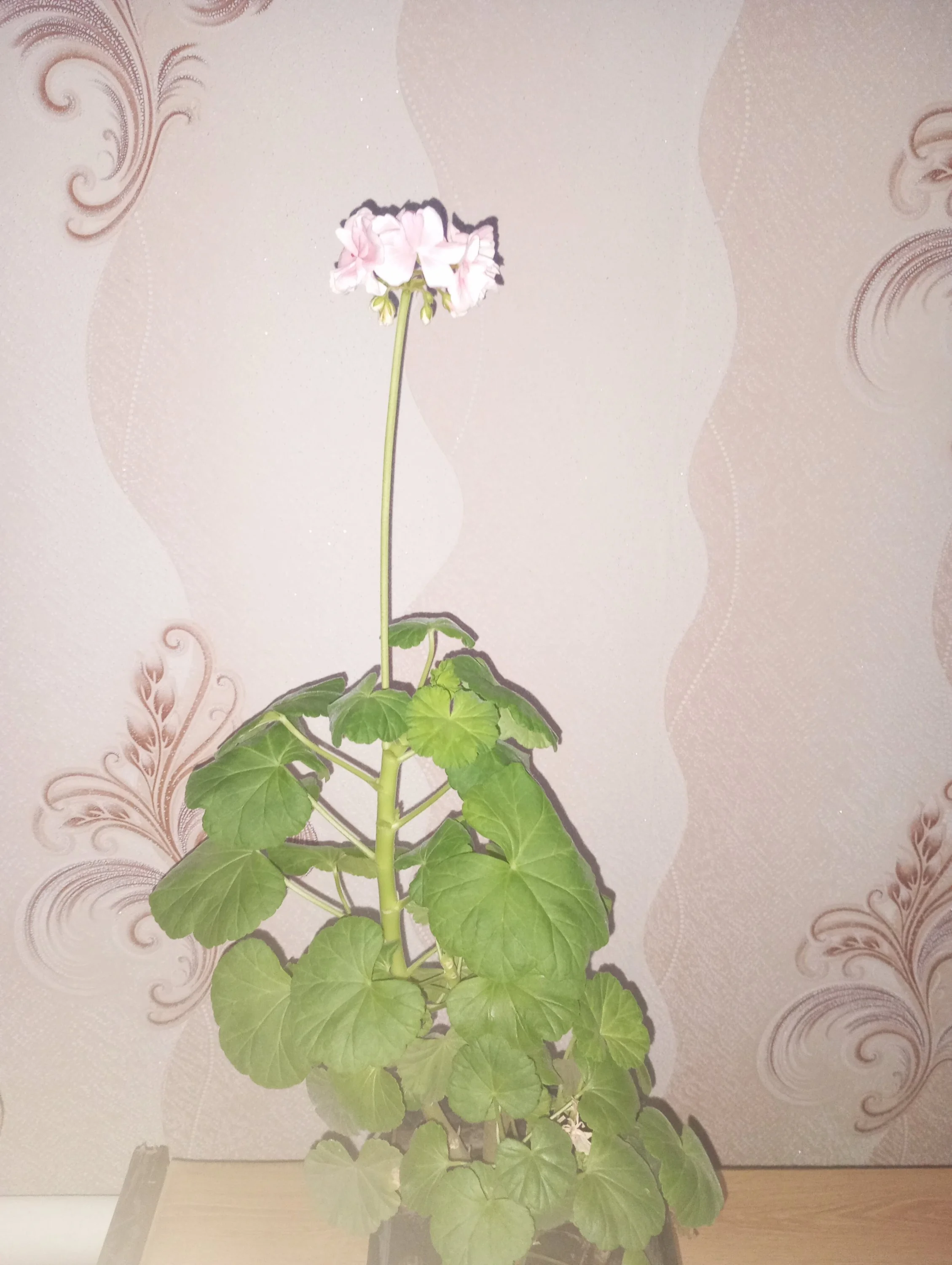 2024-02-29 07-37-32.webp