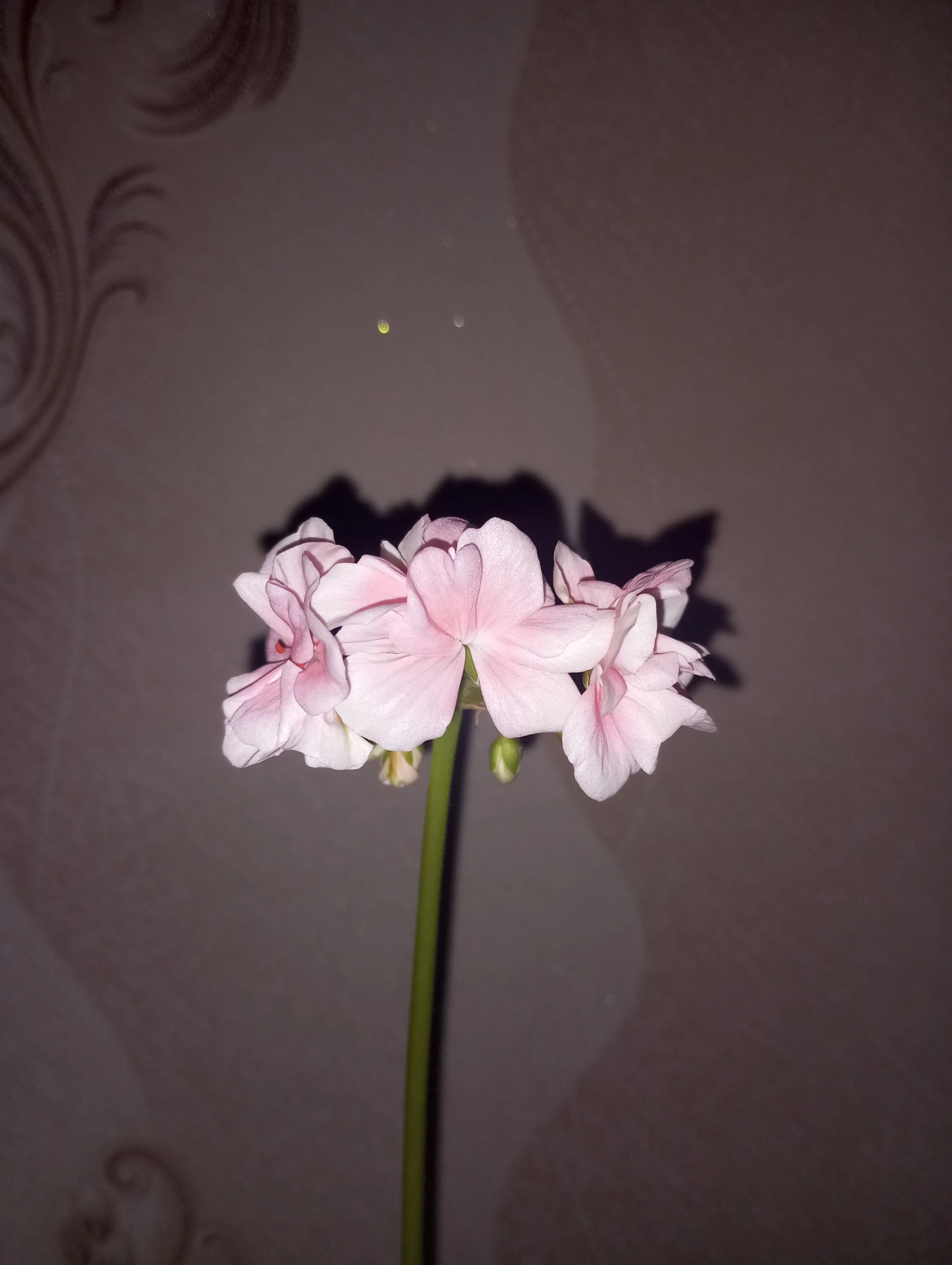 2024-02-29 07-39-30.webp