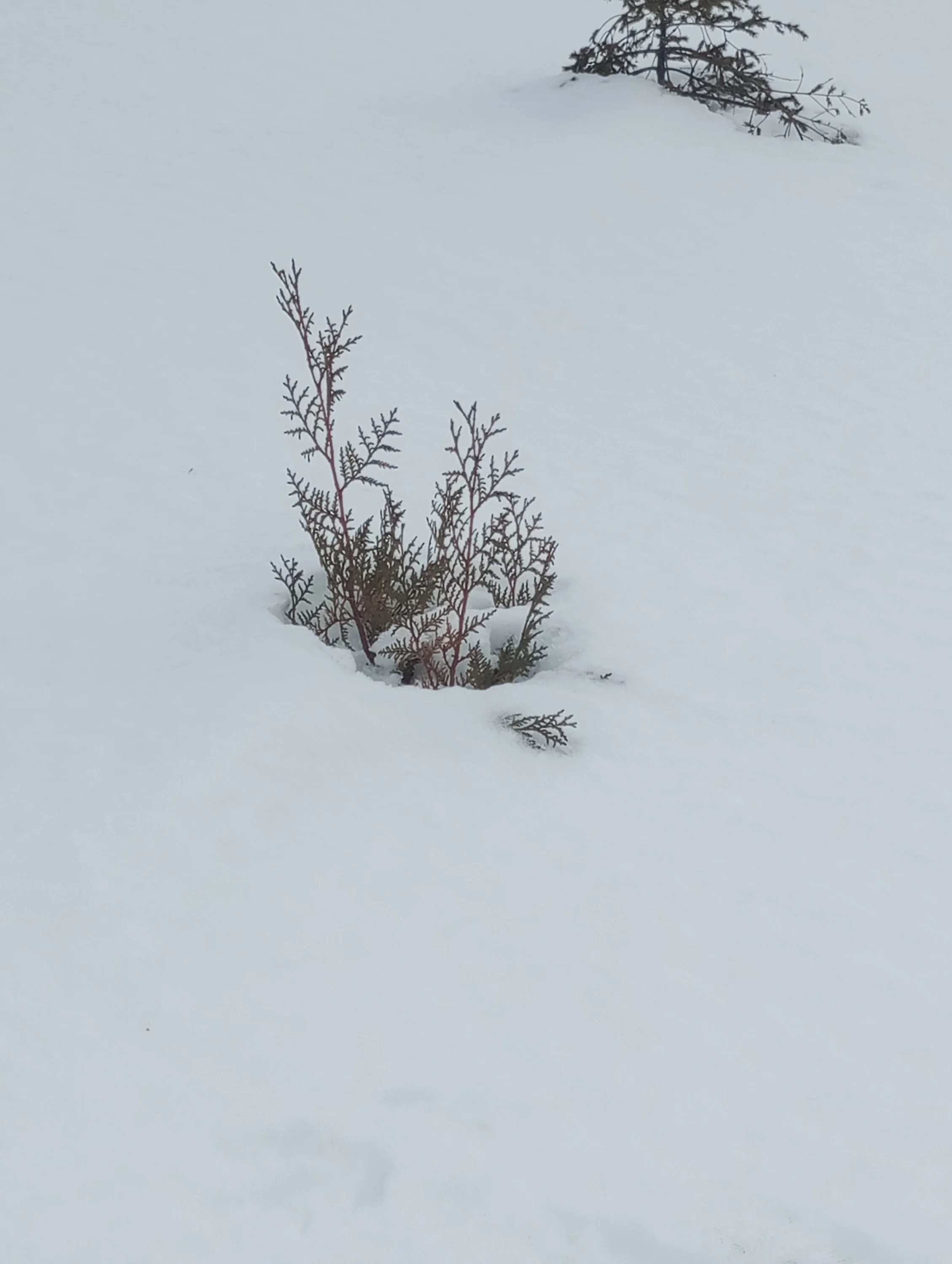 2024-02-29 12-58-10.webp