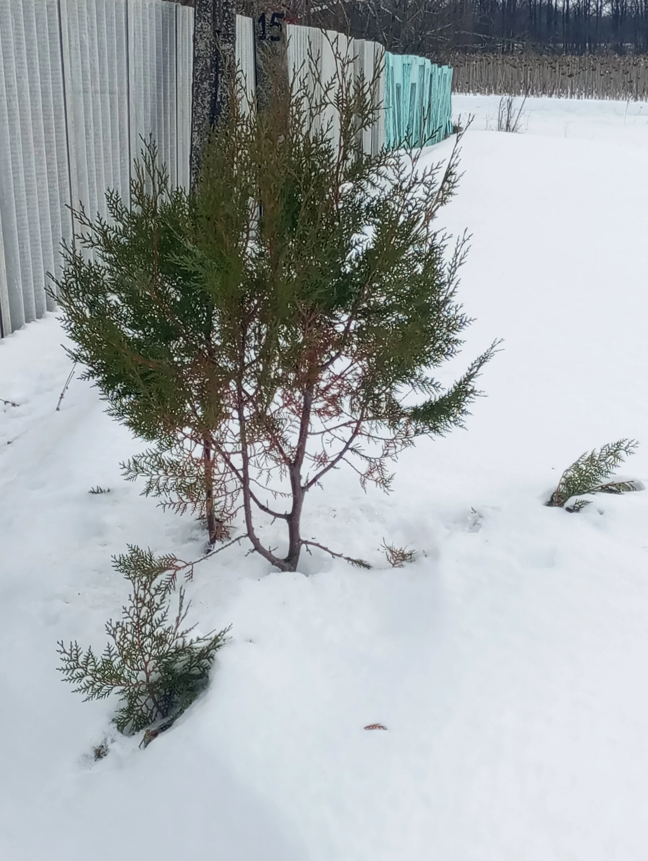 2024-02-29 12-58-19.webp