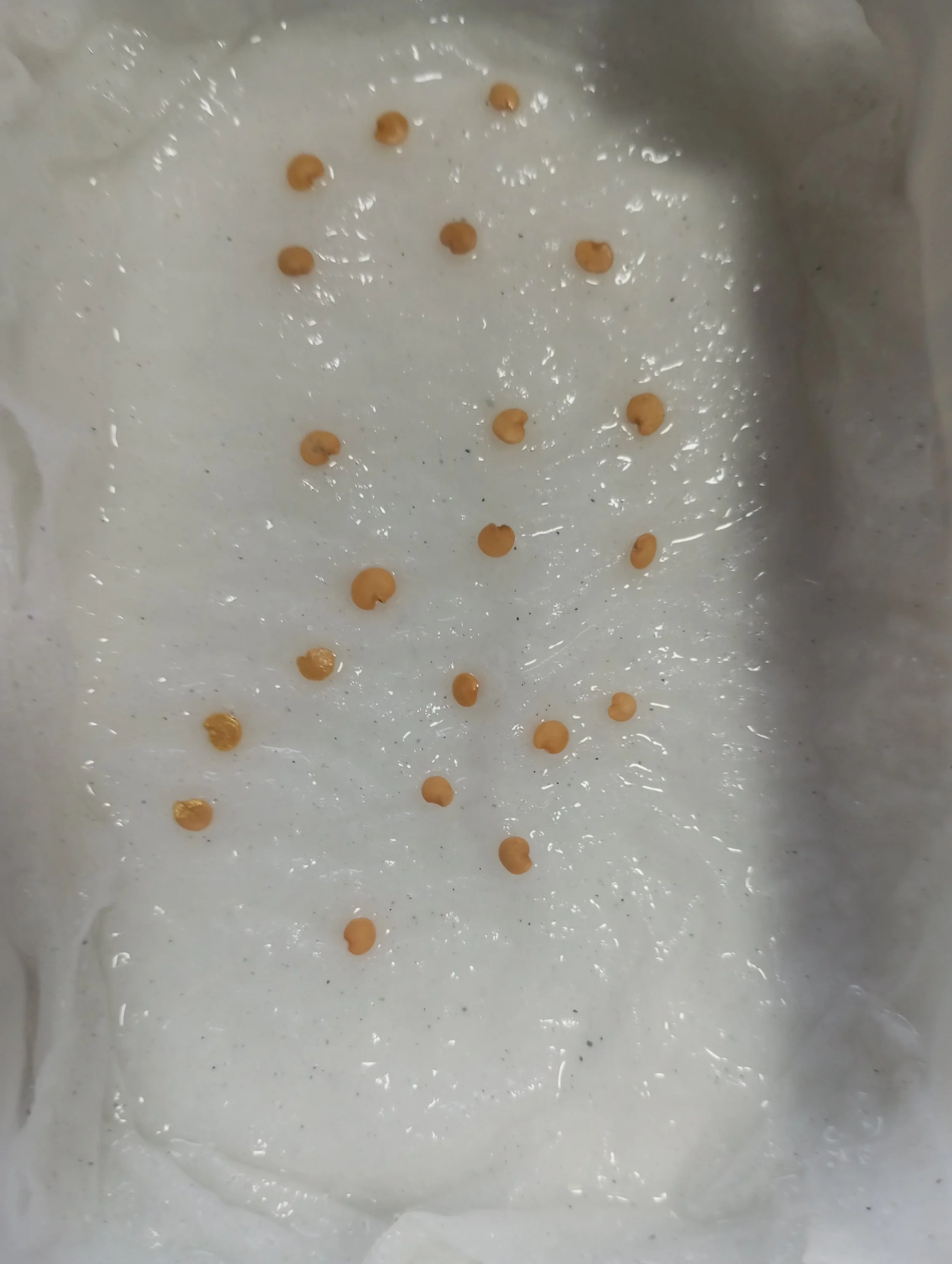 2024-03-01 15-59-14.webp