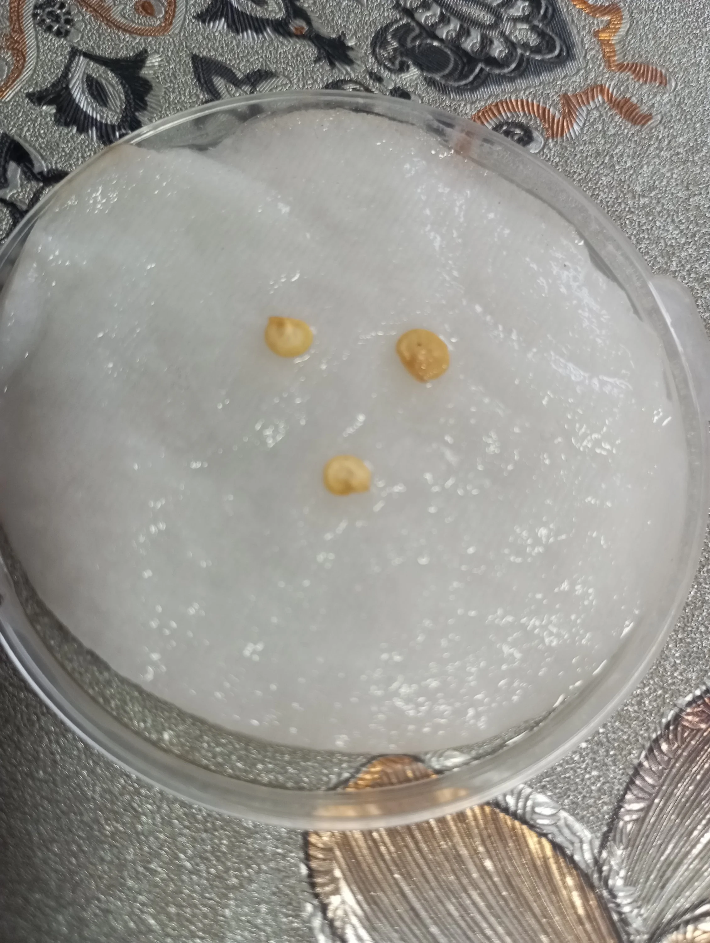 2024-03-01 16-00-58.webp