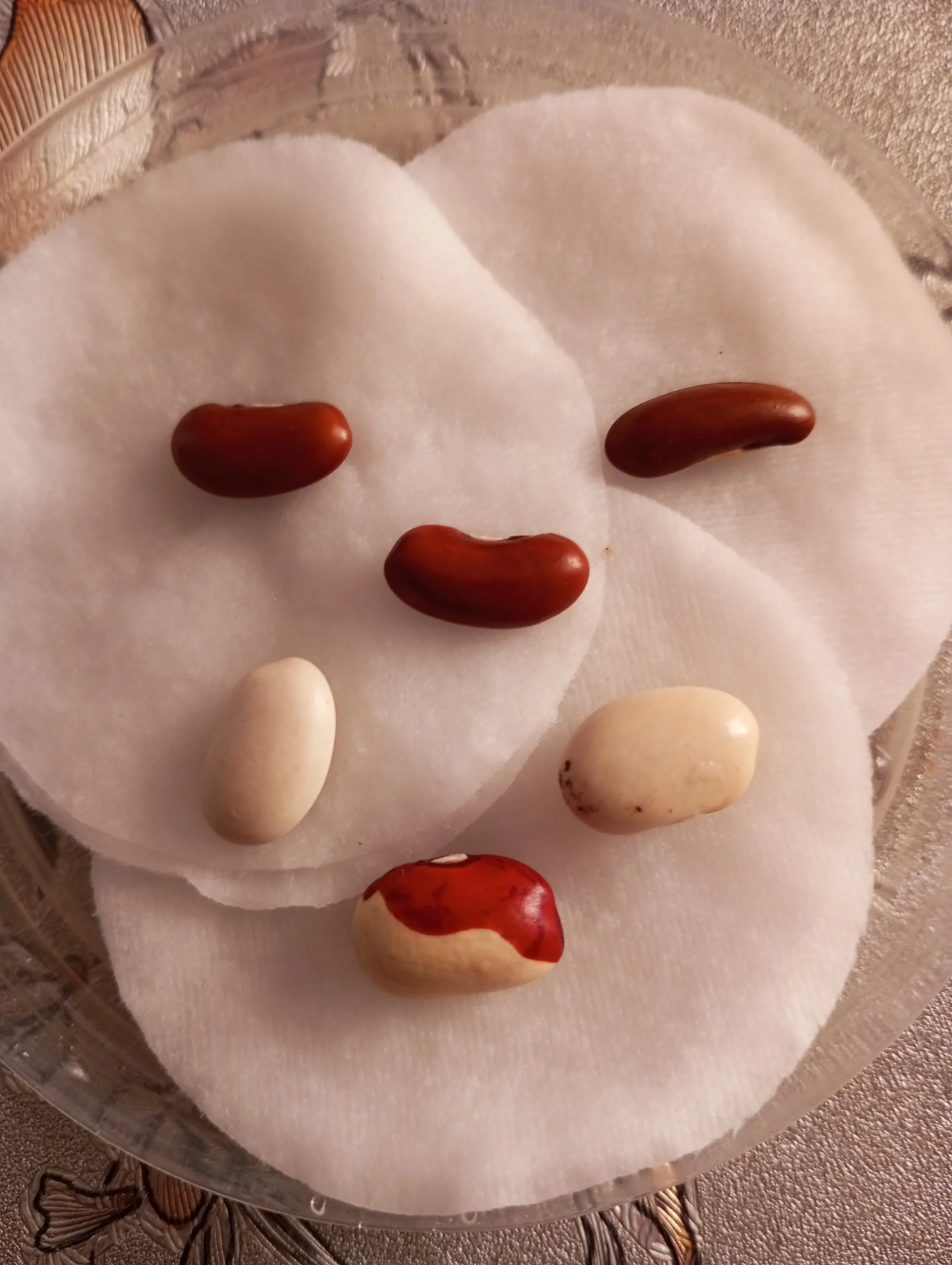 2024-03-07 15-43-30.webp