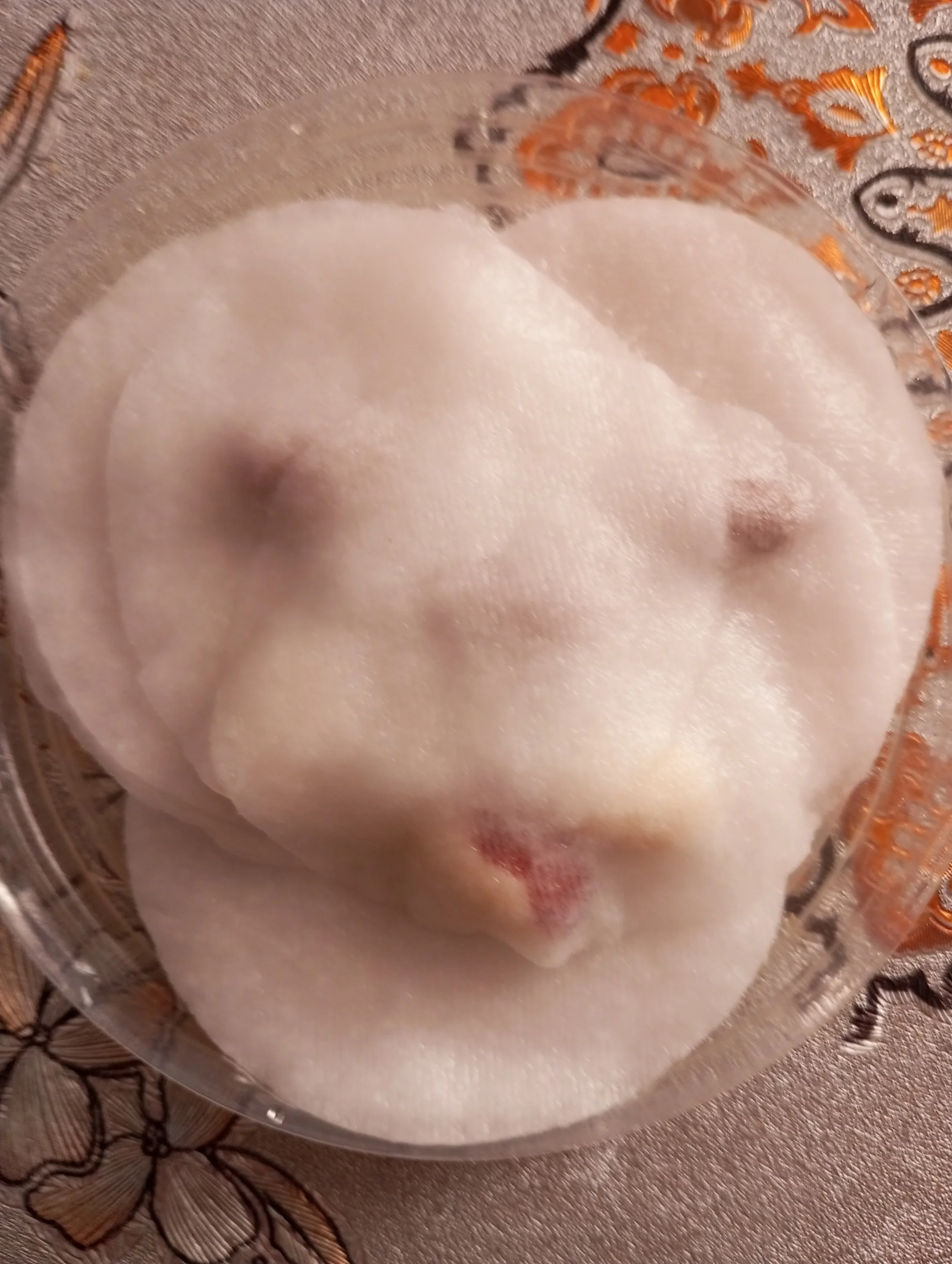 2024-03-07 15-44-20.webp