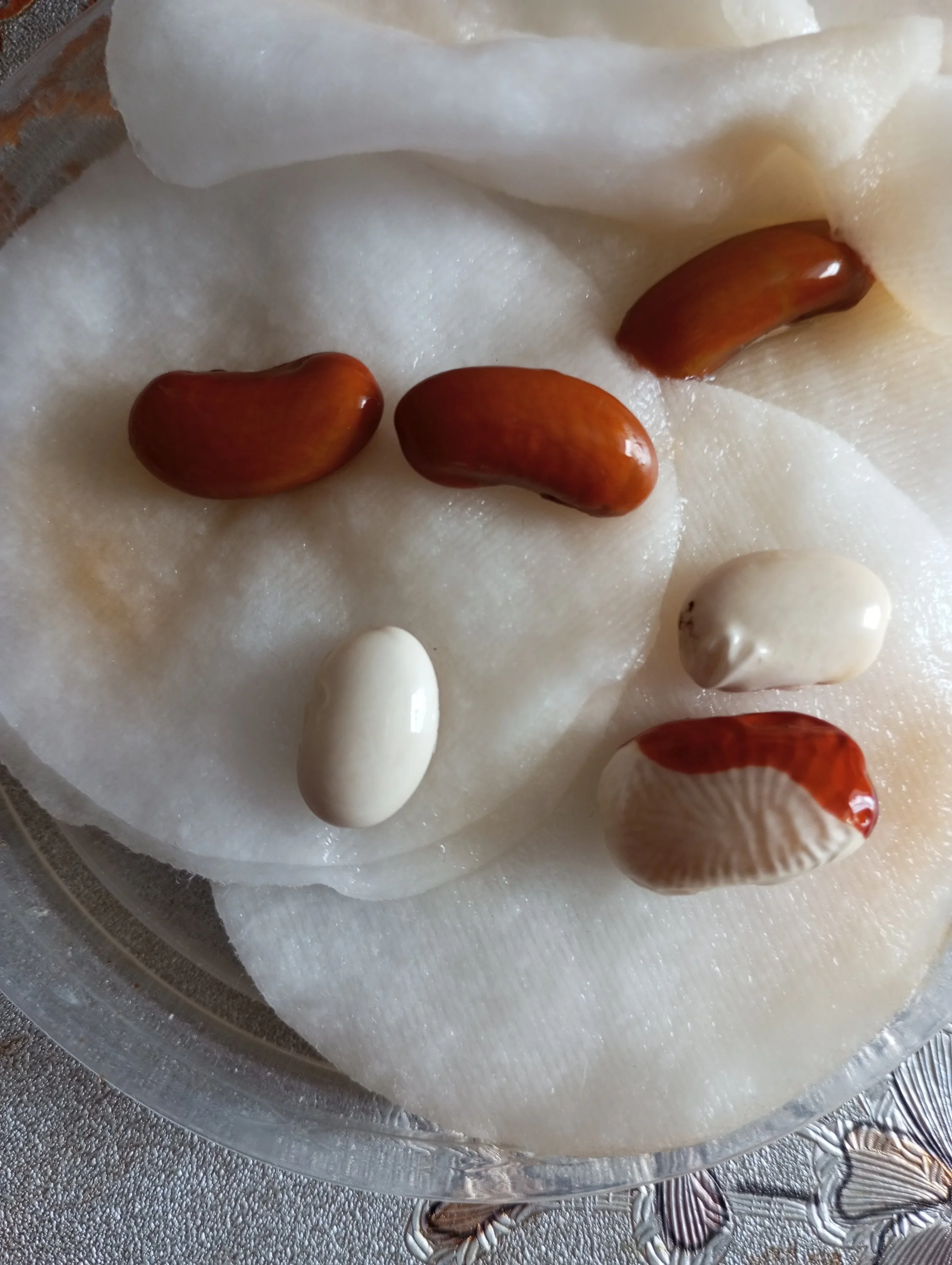 2024-03-08 13-00-23.webp