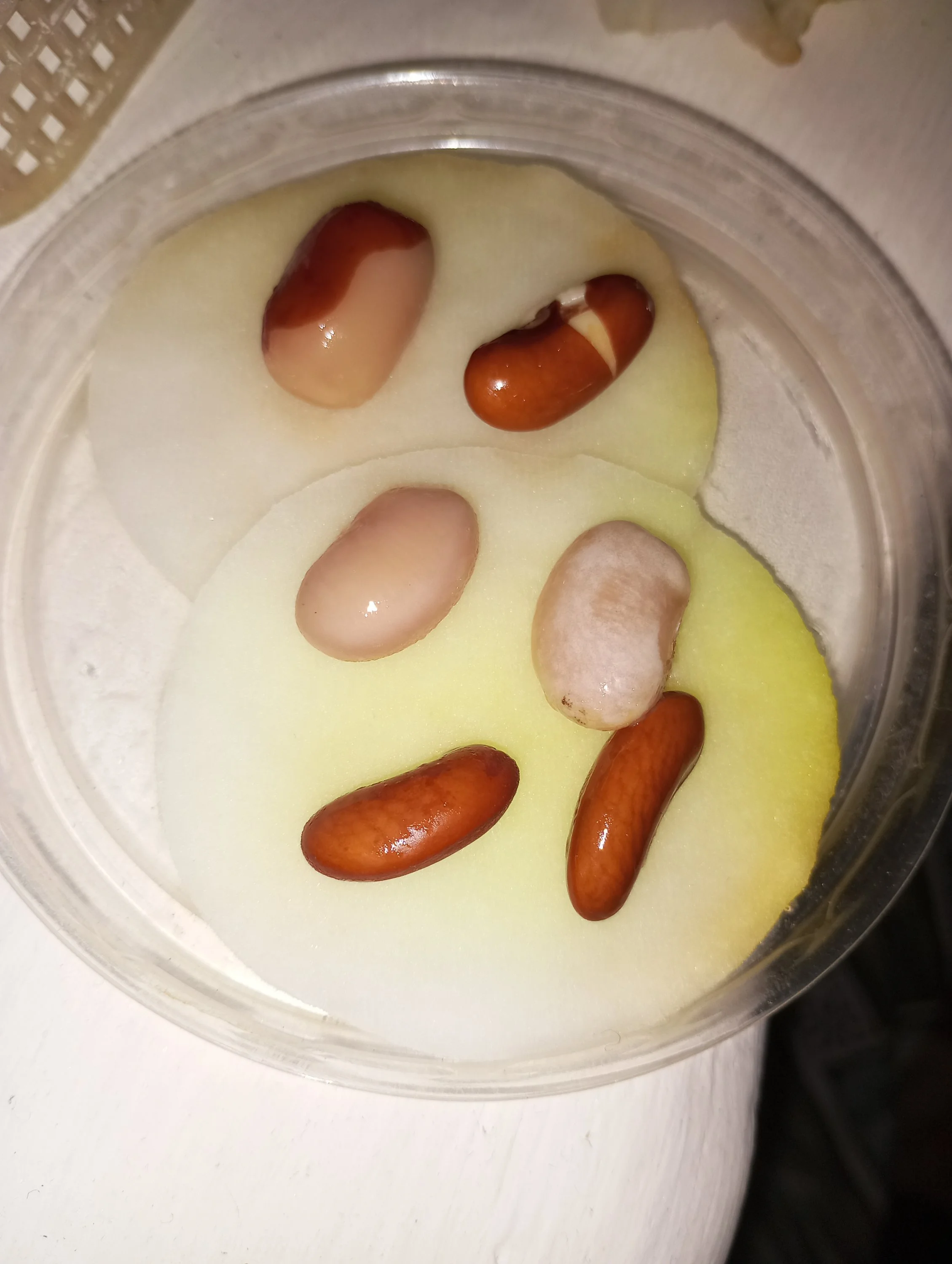 2024-03-10 20-50-05.webp