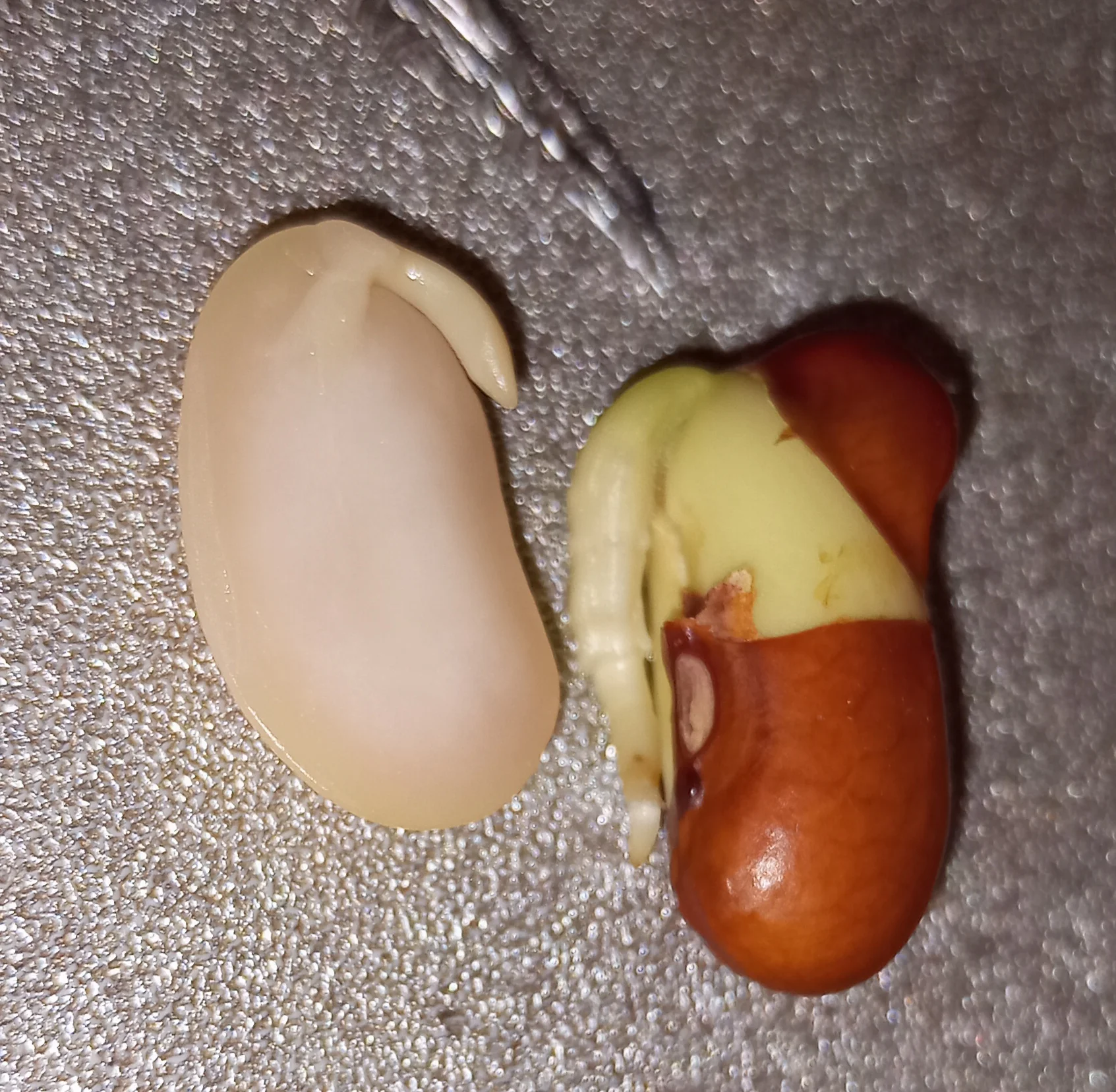 2024-03-11 16-58-21_1710165537.JPG