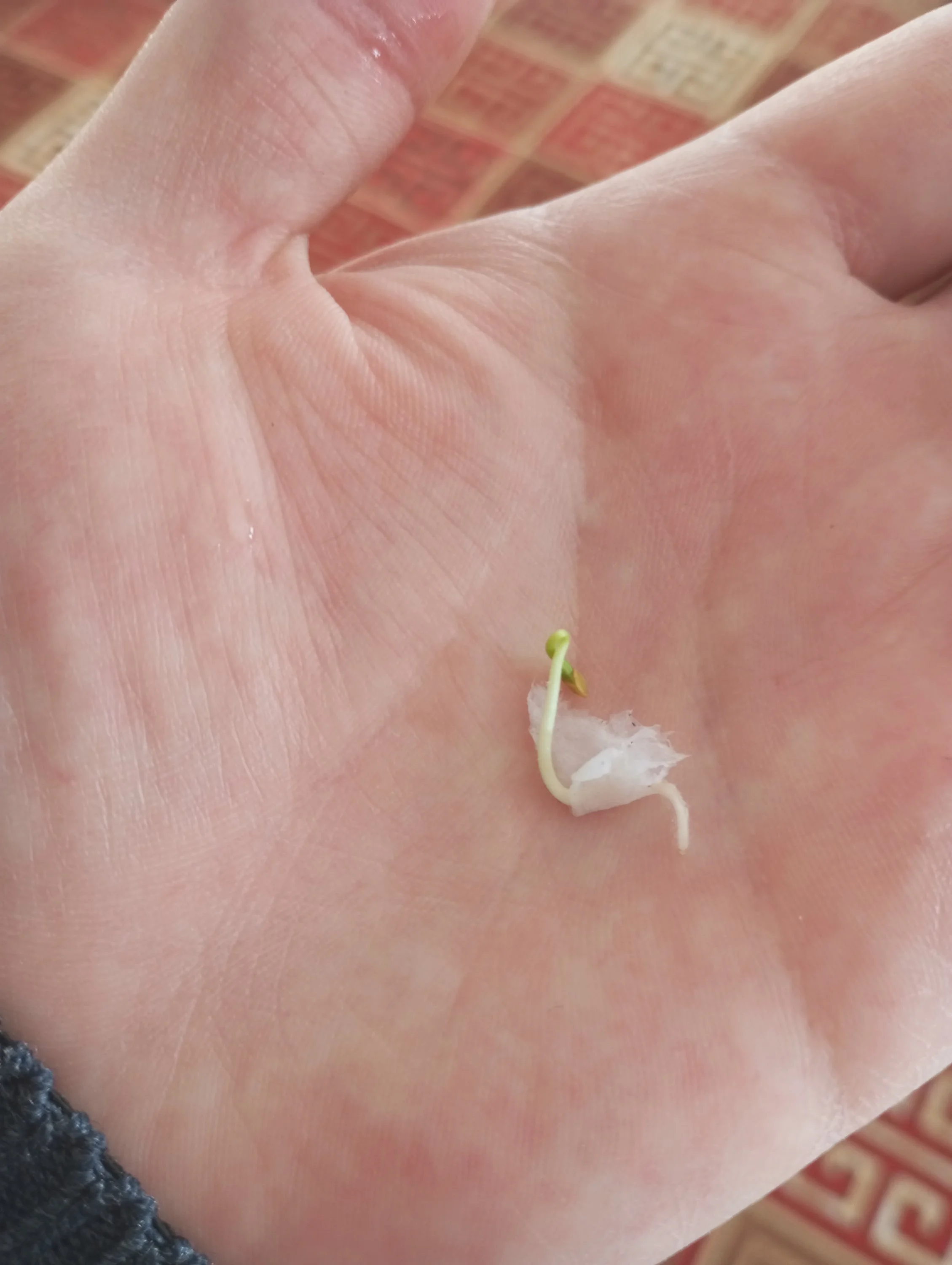 2024-03-14 12-07-03.webp