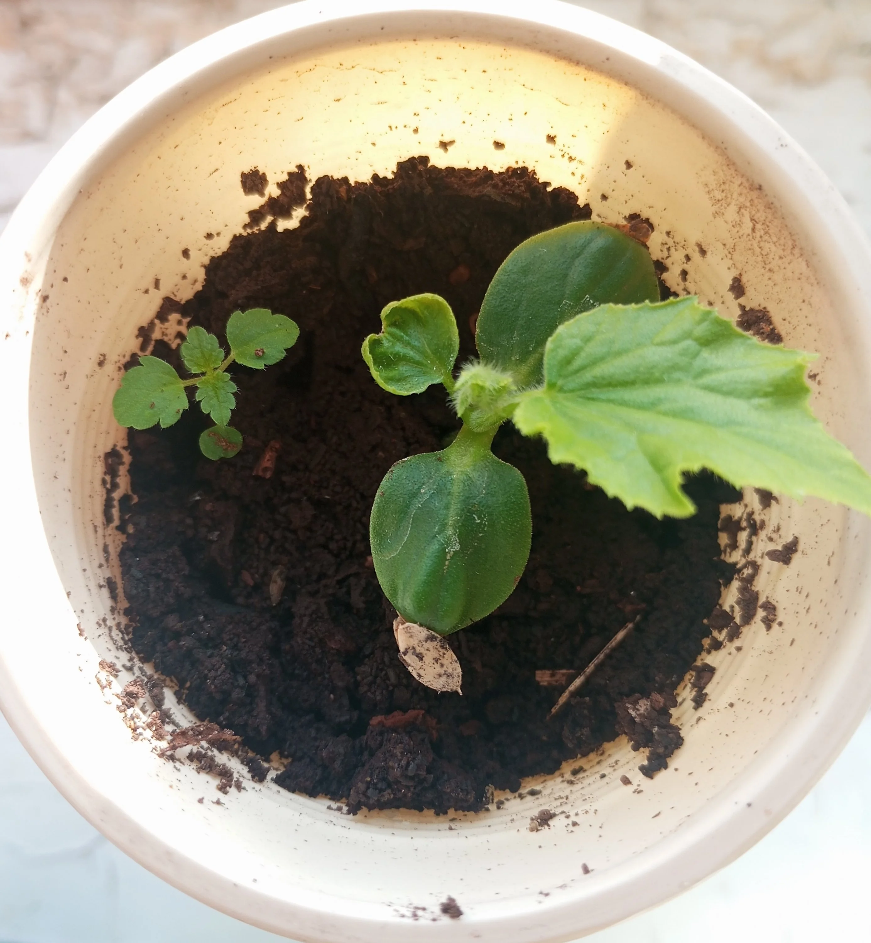 2024-03-16 17-08-52.webp