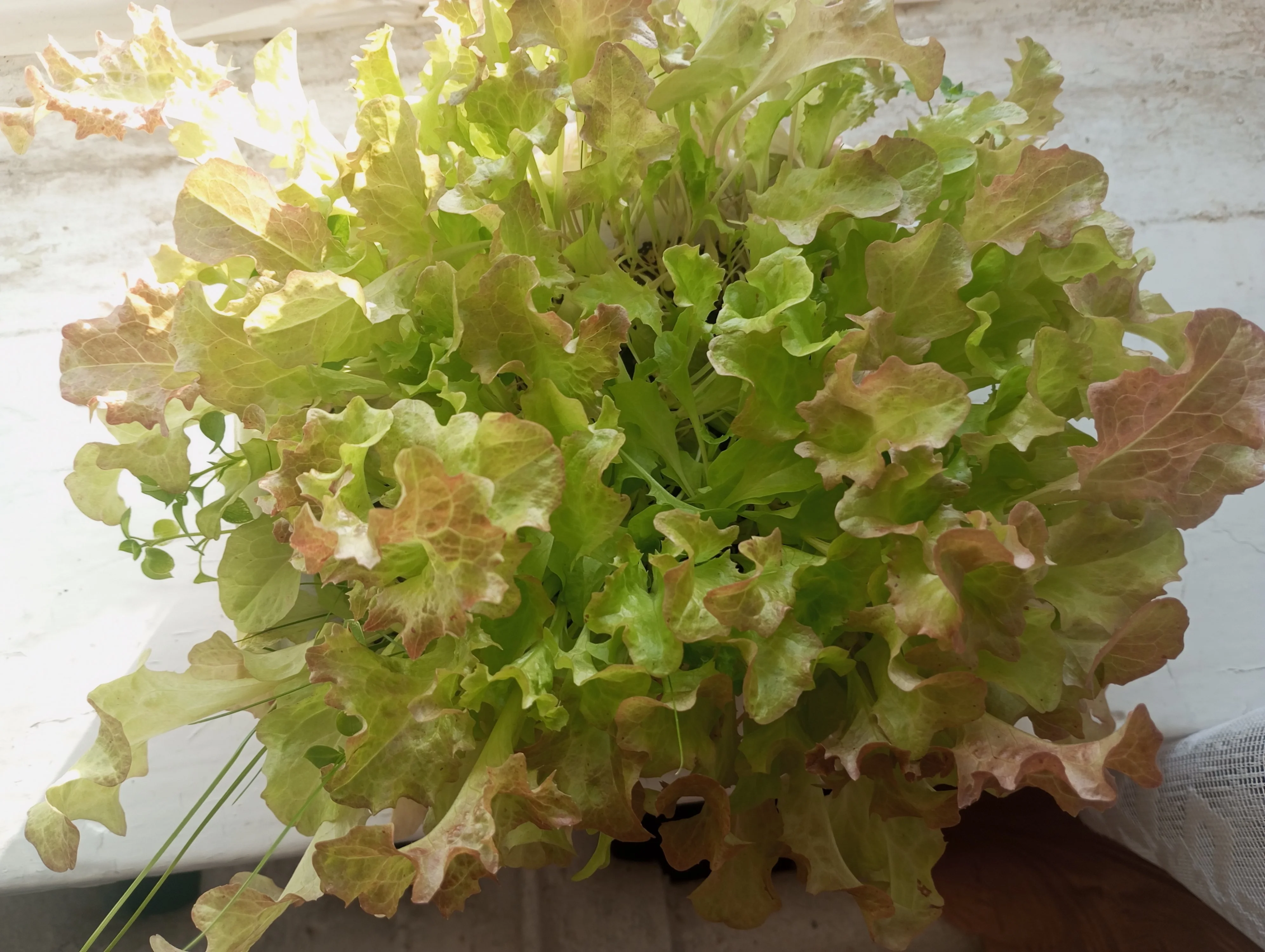 2024-03-16 17-09-05.webp