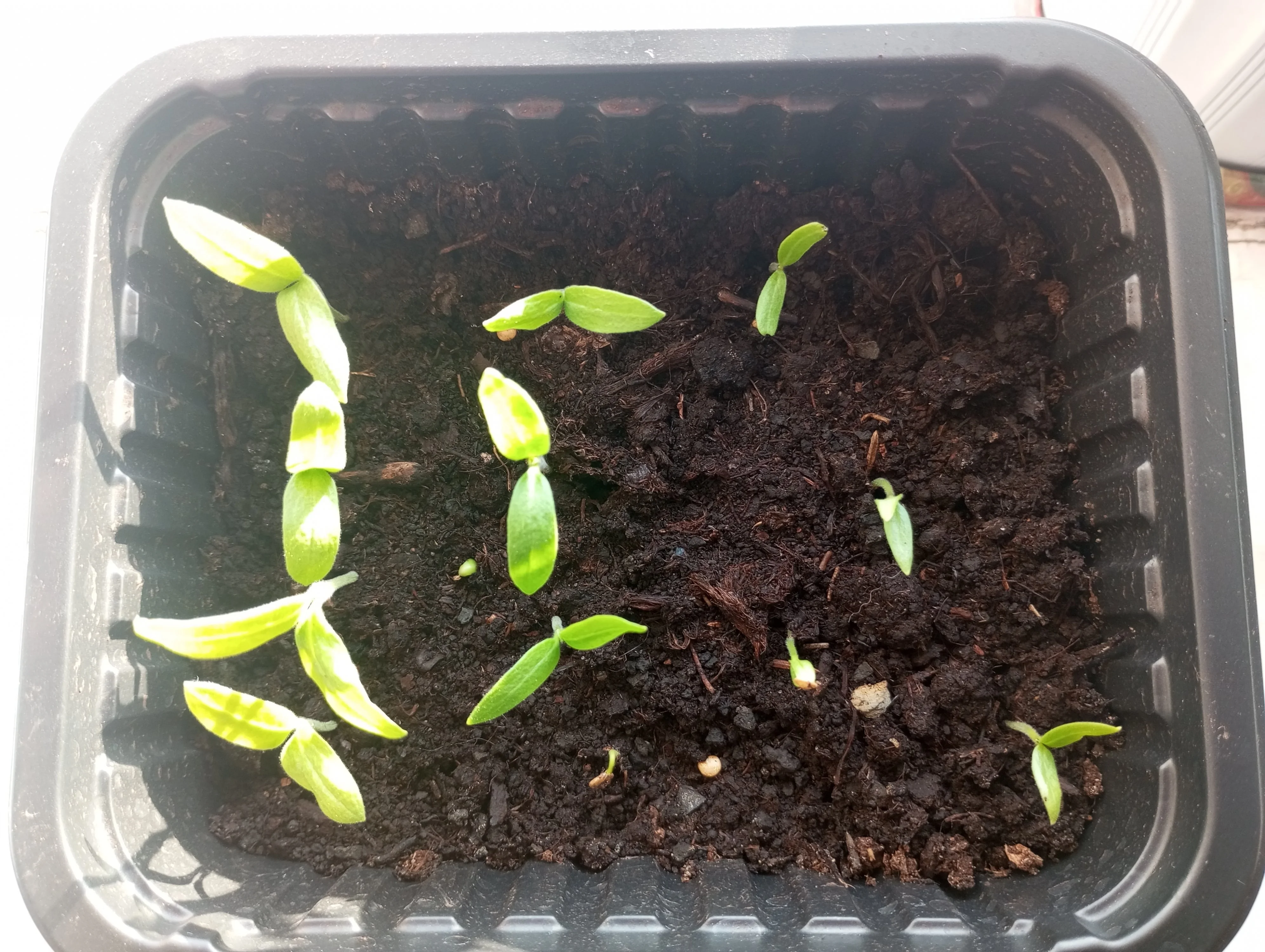 2024-03-16 17-09-21.webp