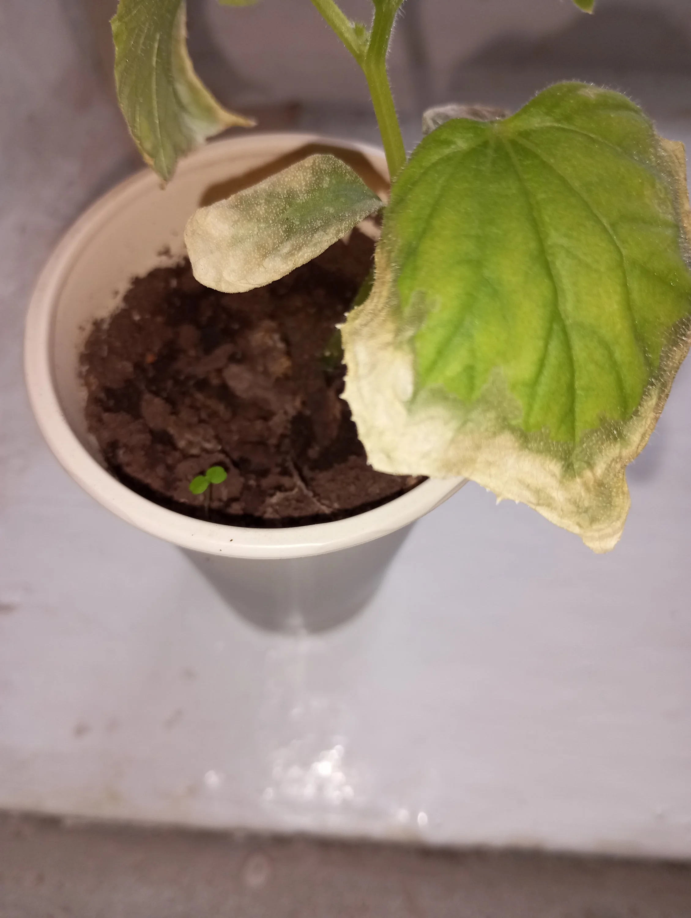 2024-03-23 10-37-02.JPG