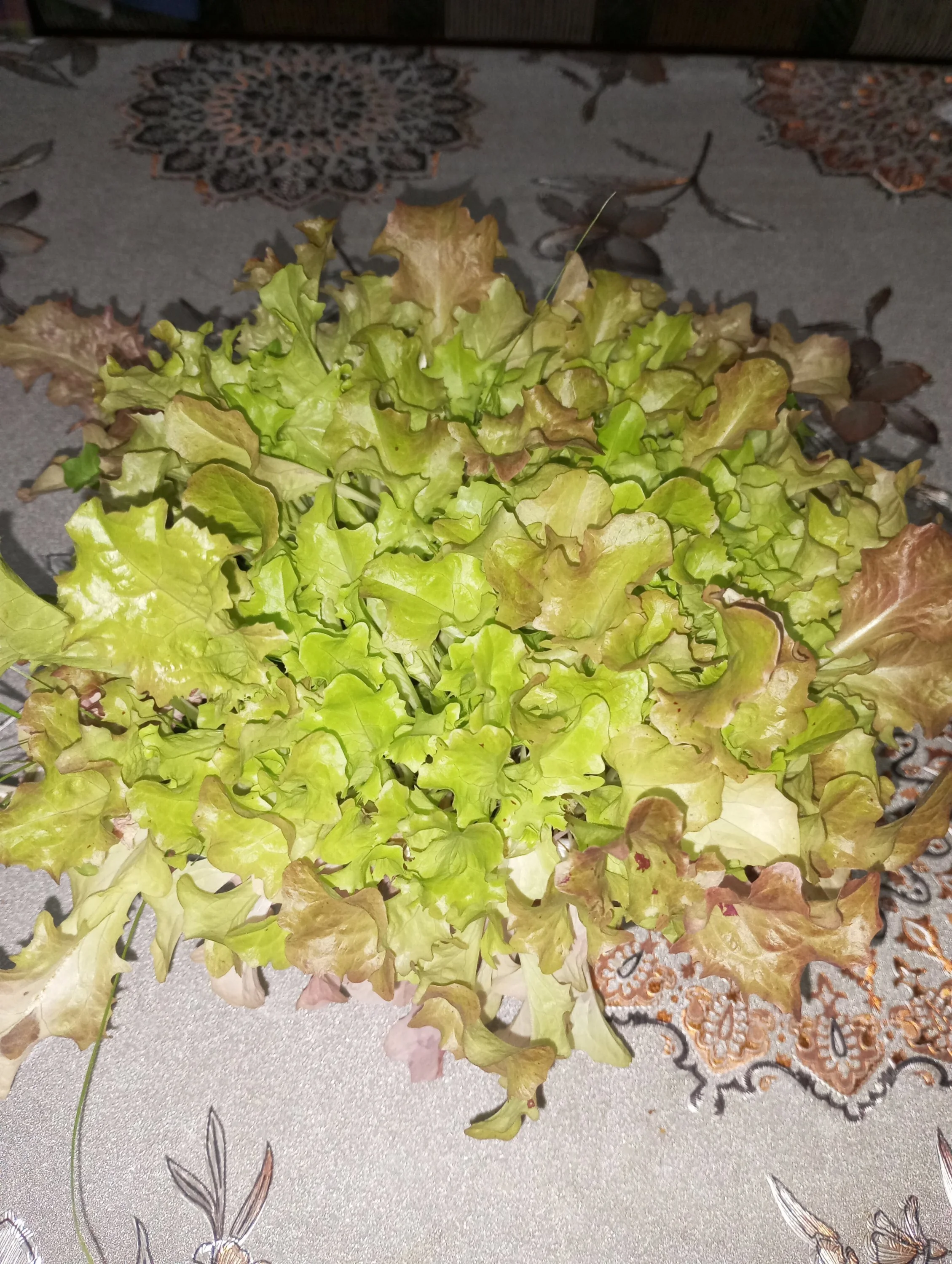 2024-03-23 21-26-03.webp