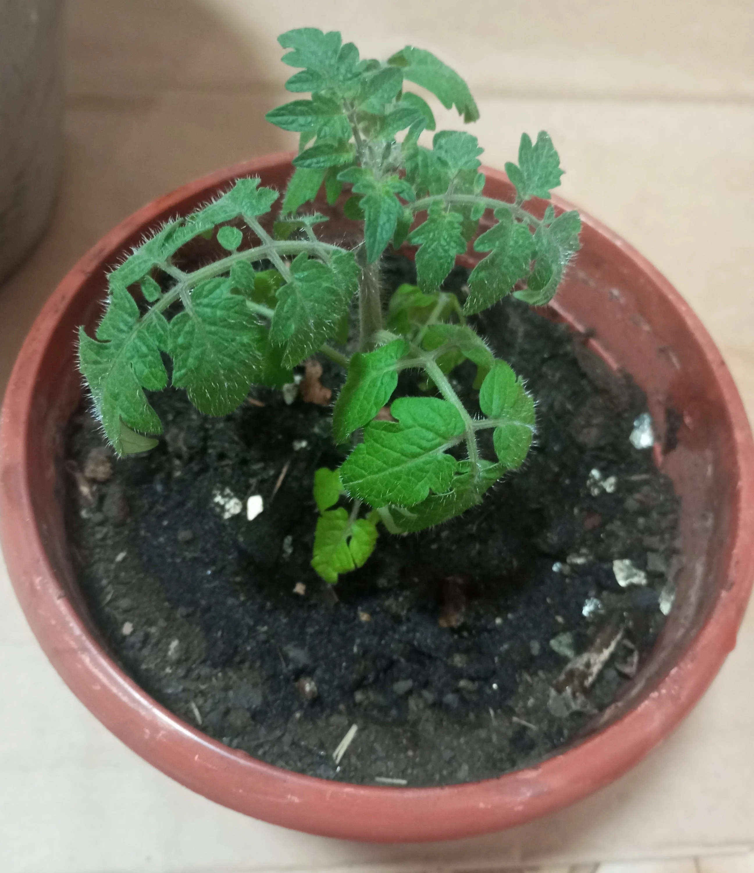 2024-03-25 15-38-27.webp