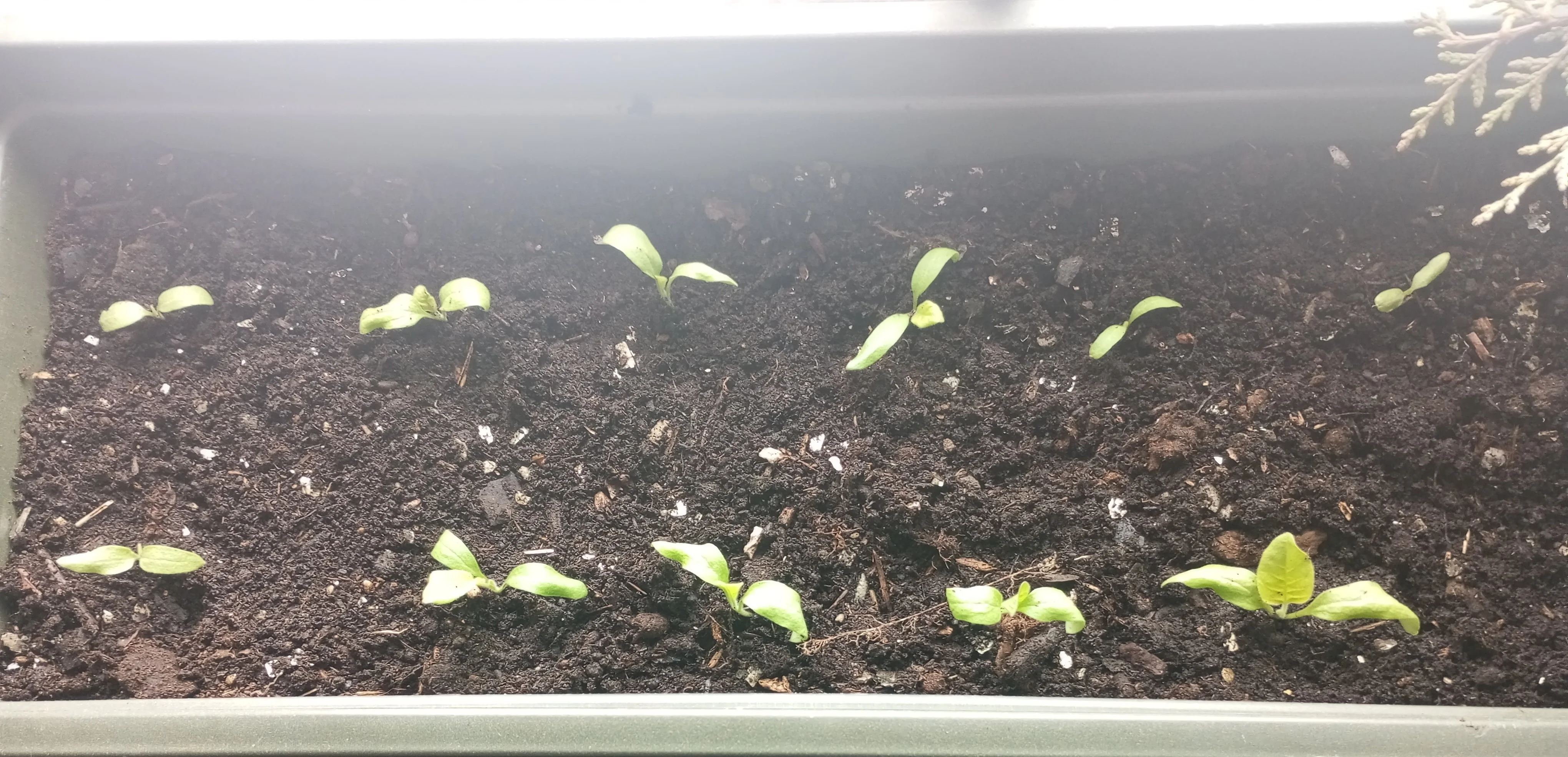 2024-03-25 16-06-18.webp