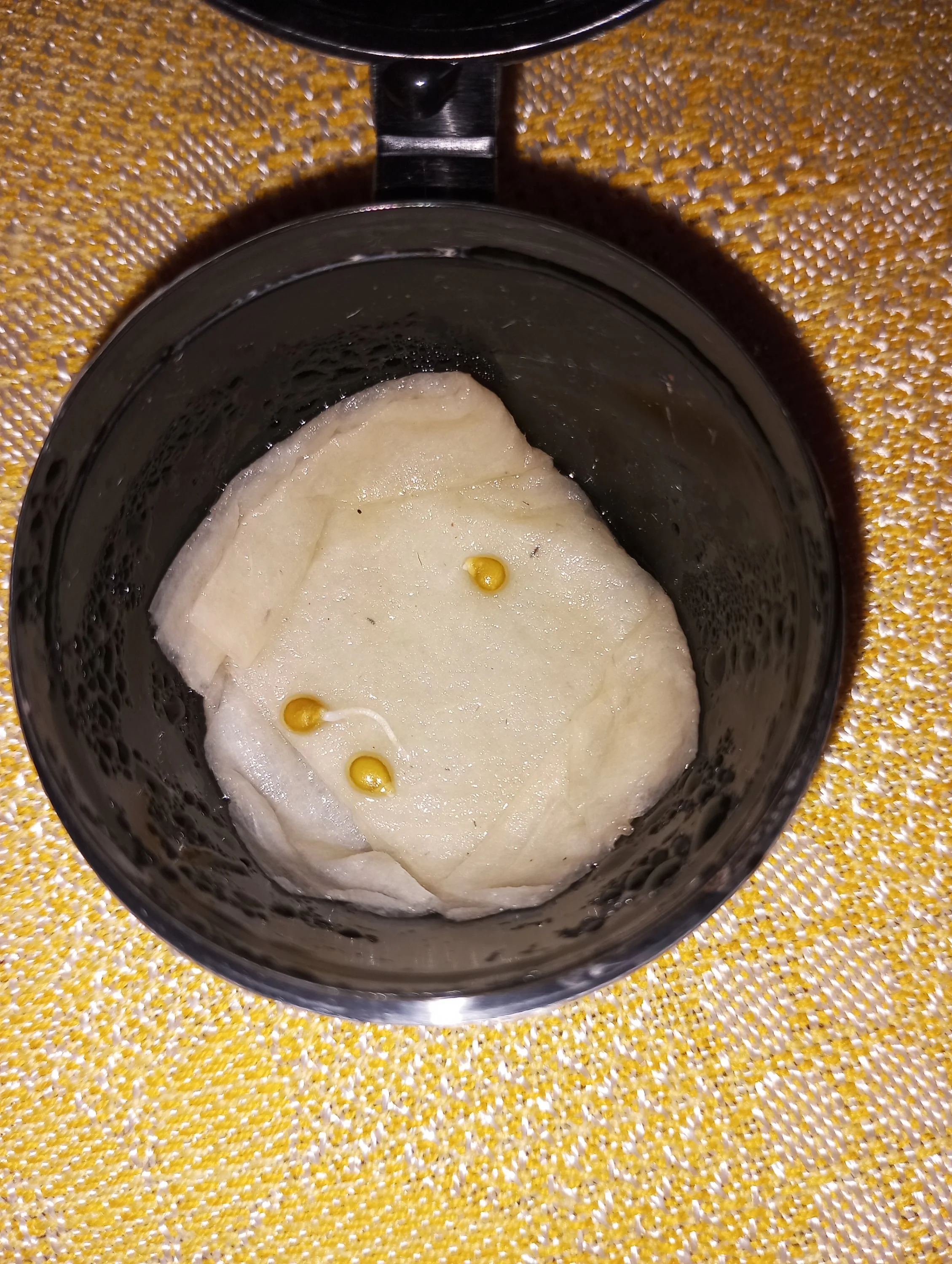 2024-03-28 17-30-10.webp