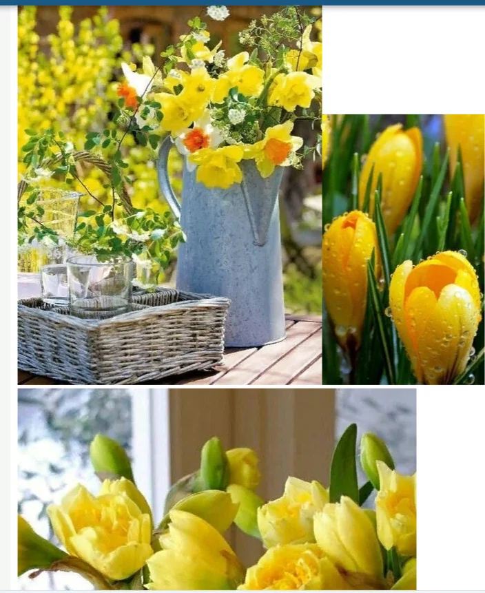 2024-03-29_11-21-12 (1).webp