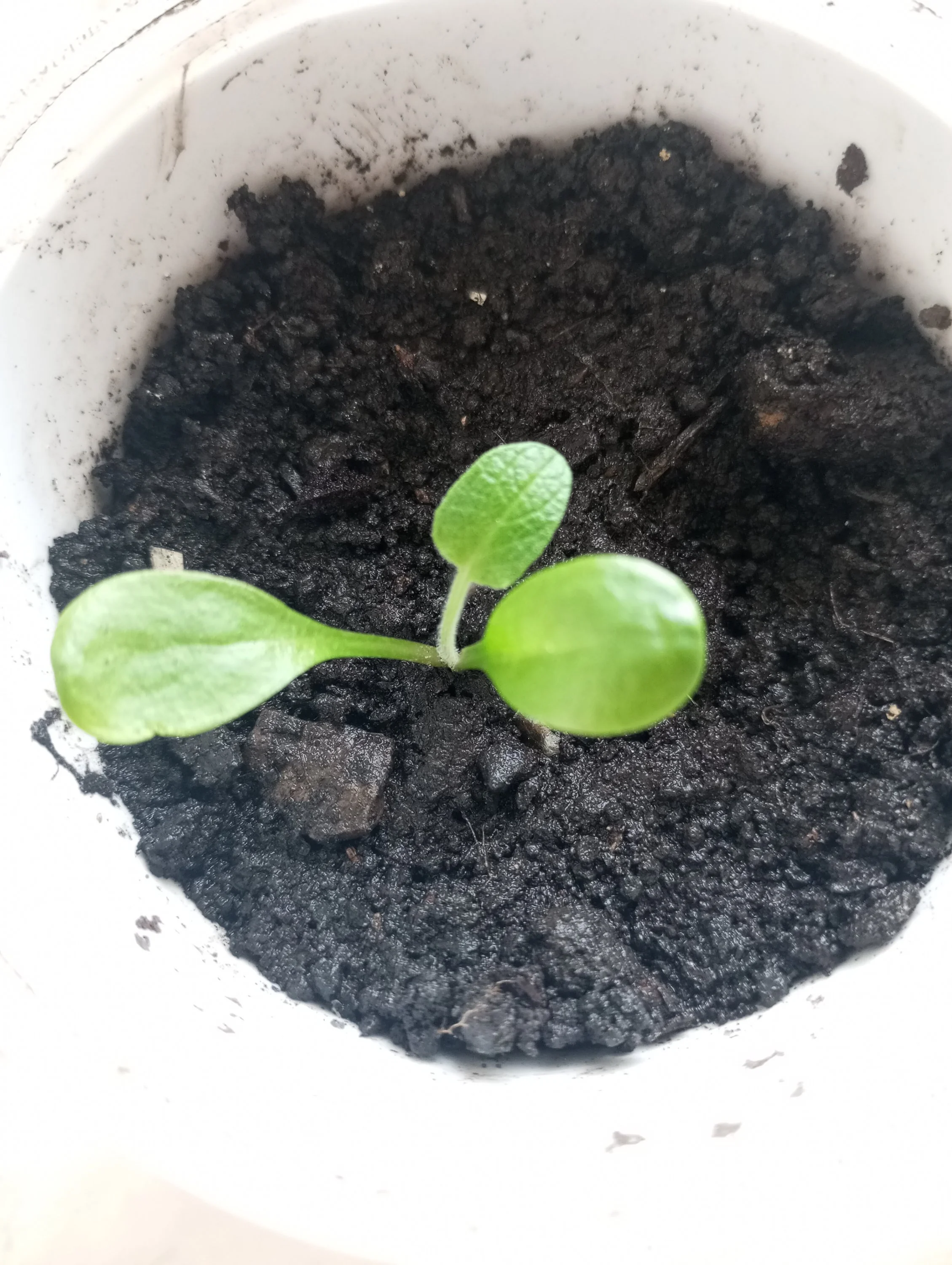 2024-04-02 09-40-17.webp