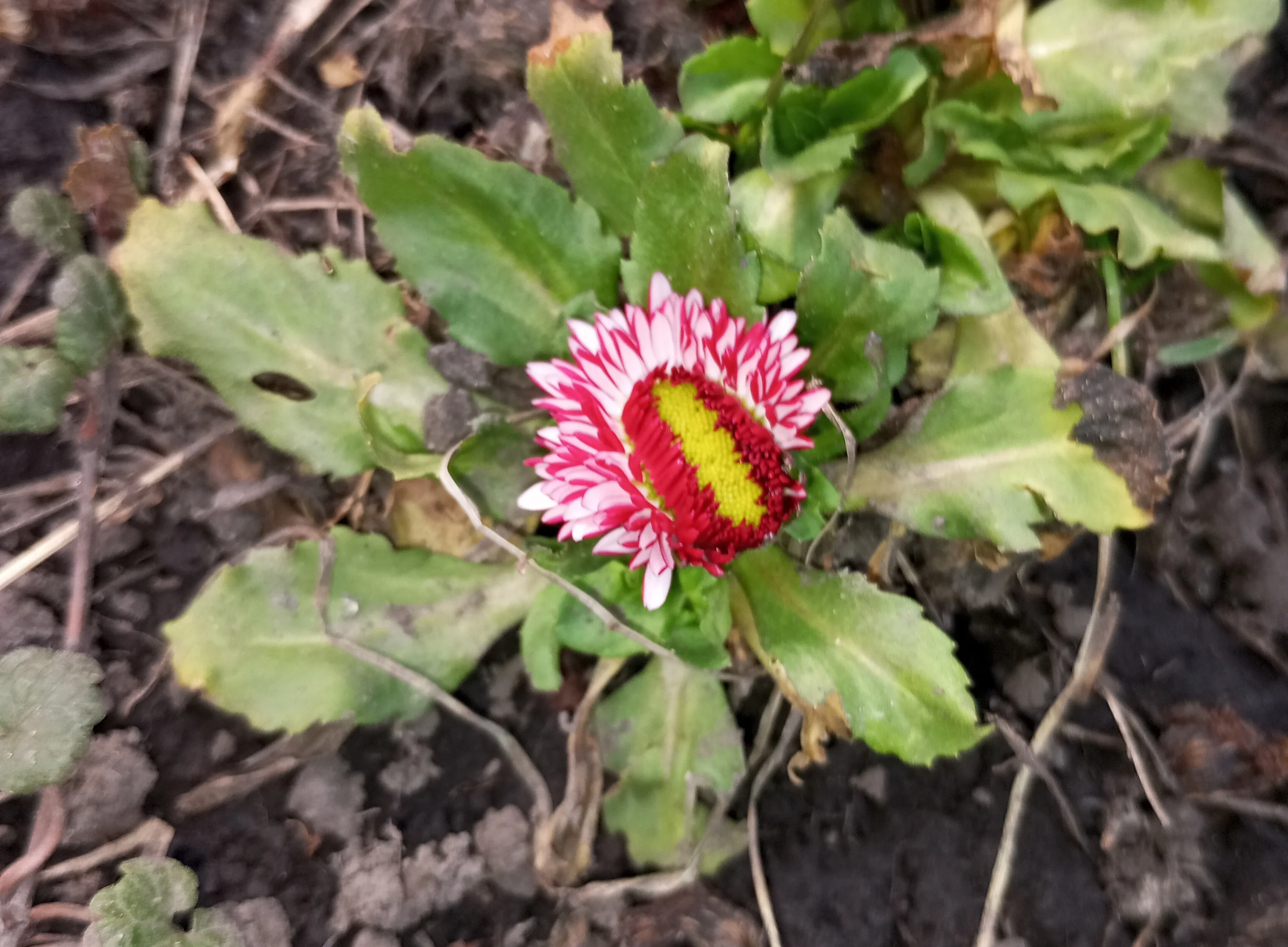 2024-04-02 17-04-24.webp