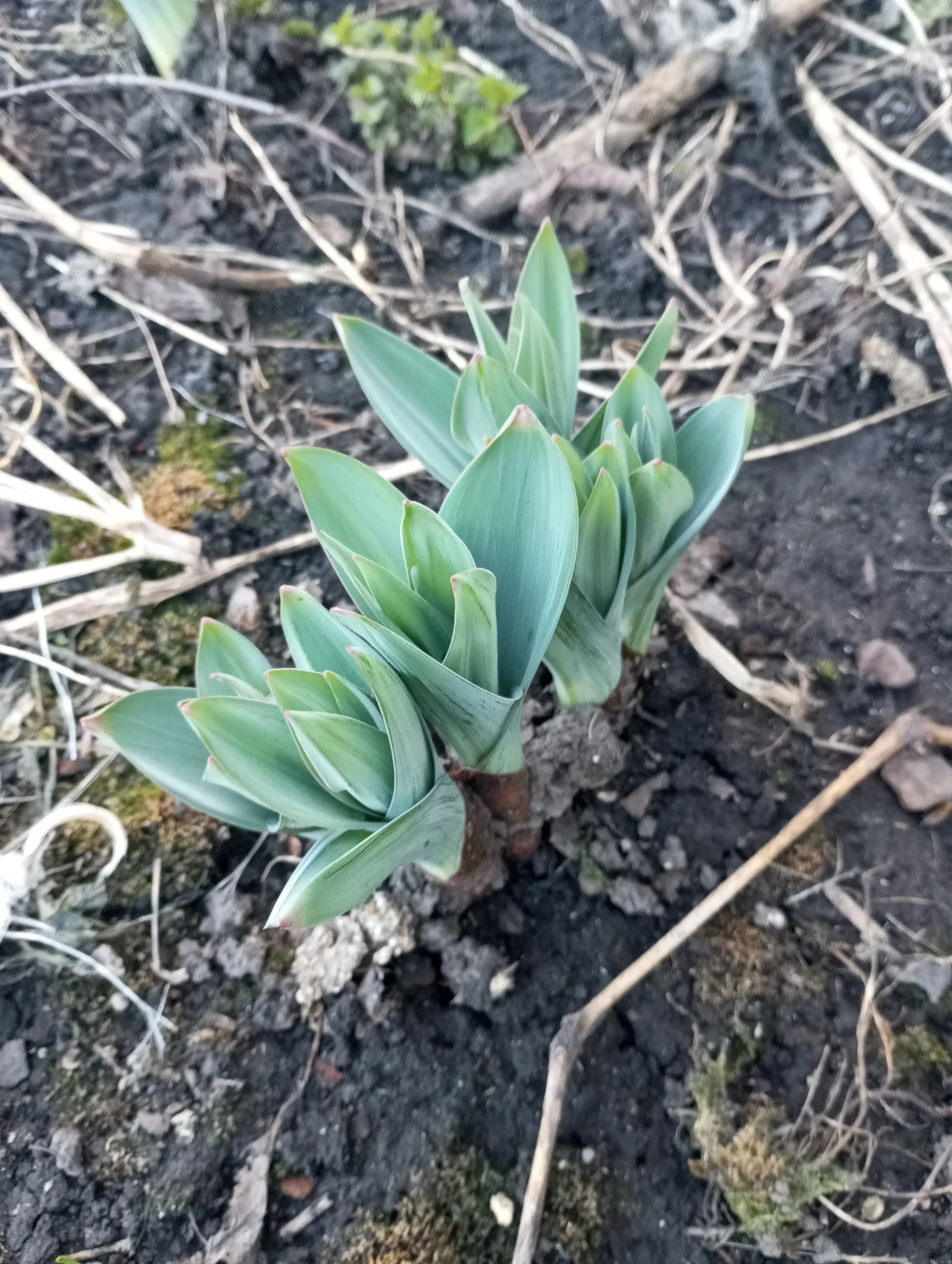 2024-04-03 18-12-46.webp