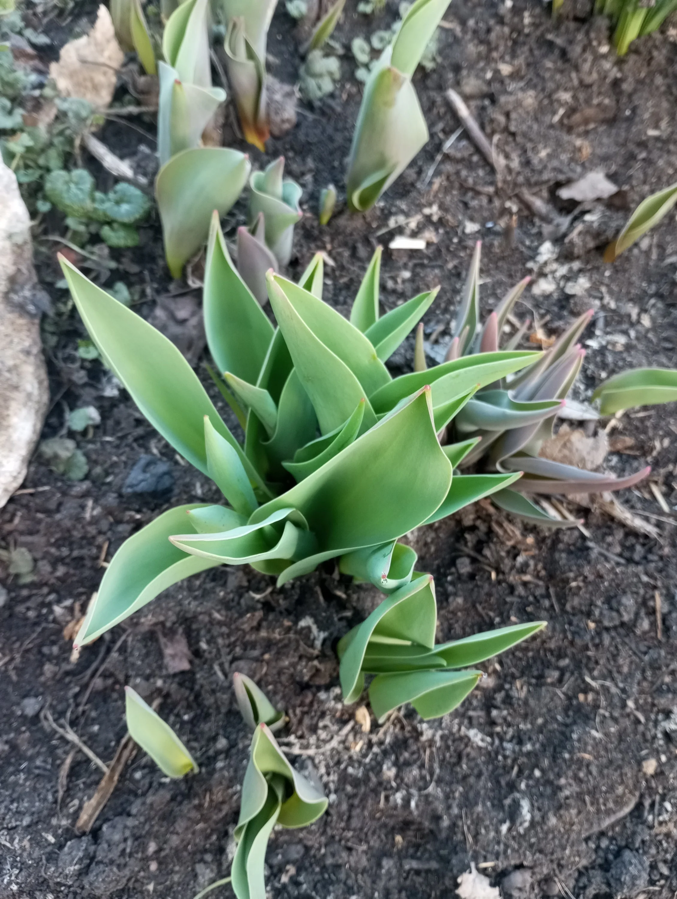 2024-04-03 18-12-54.webp