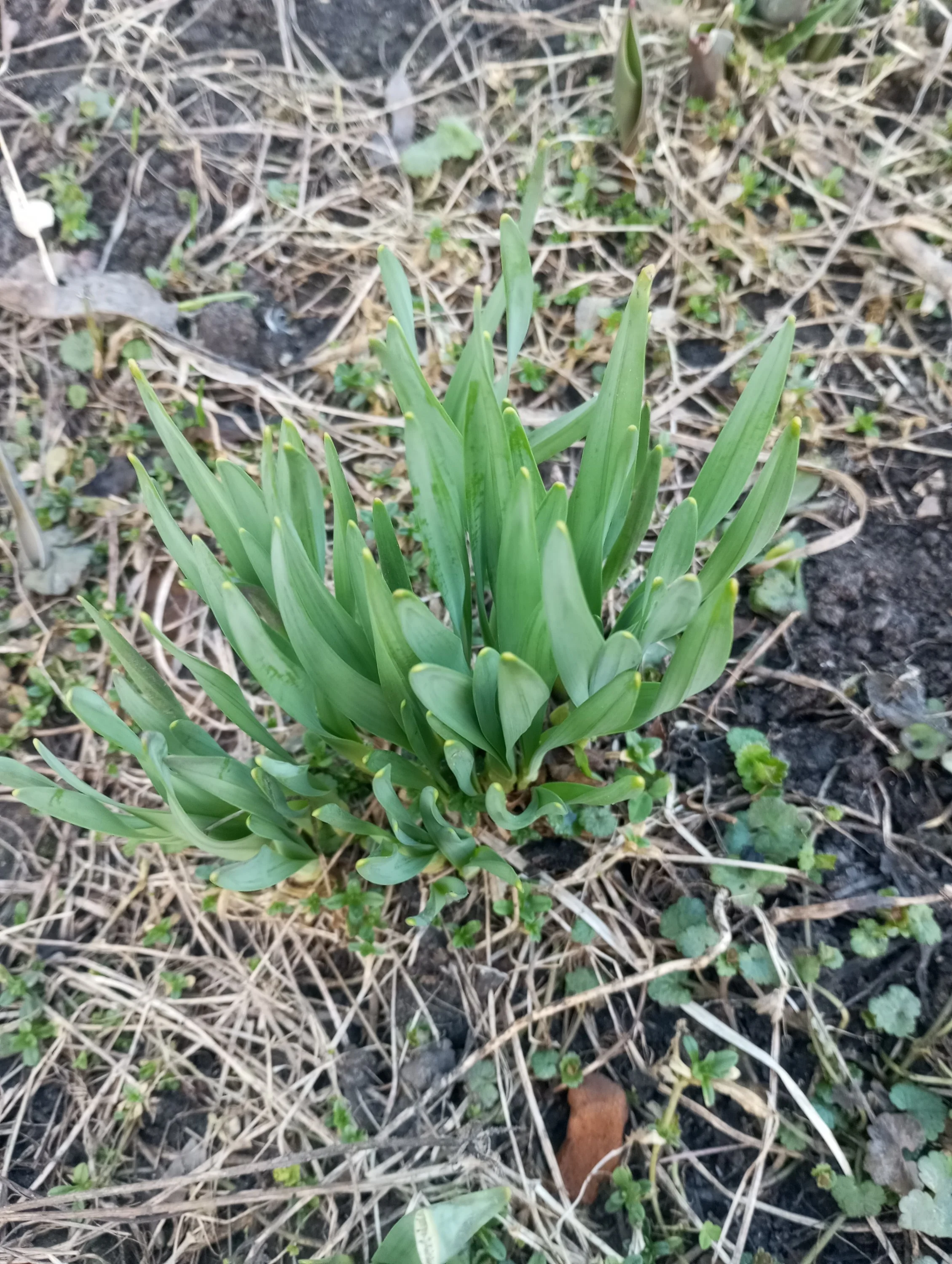 2024-04-03 18-13-27.webp