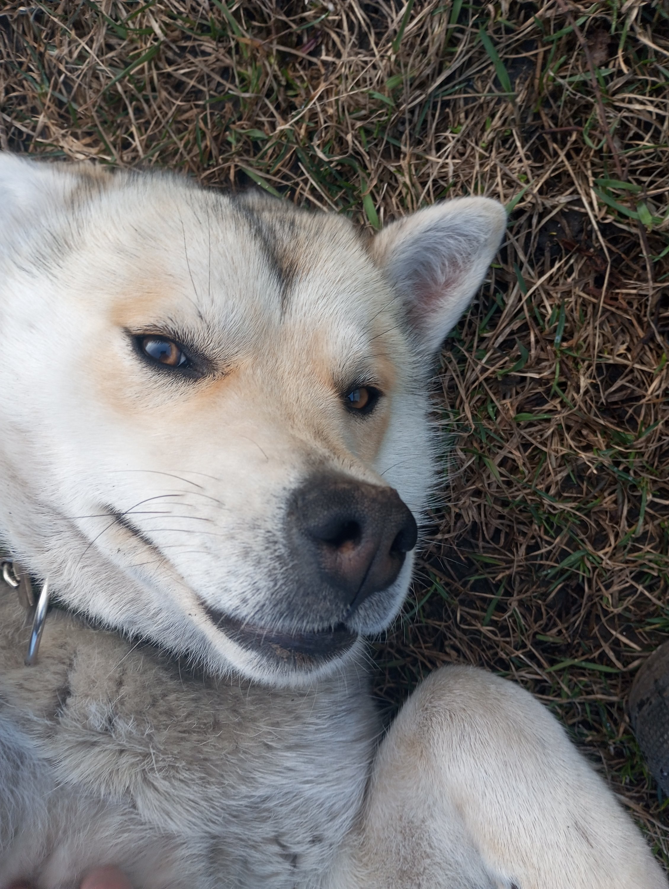 2024-04-03 18-13-41.JPG