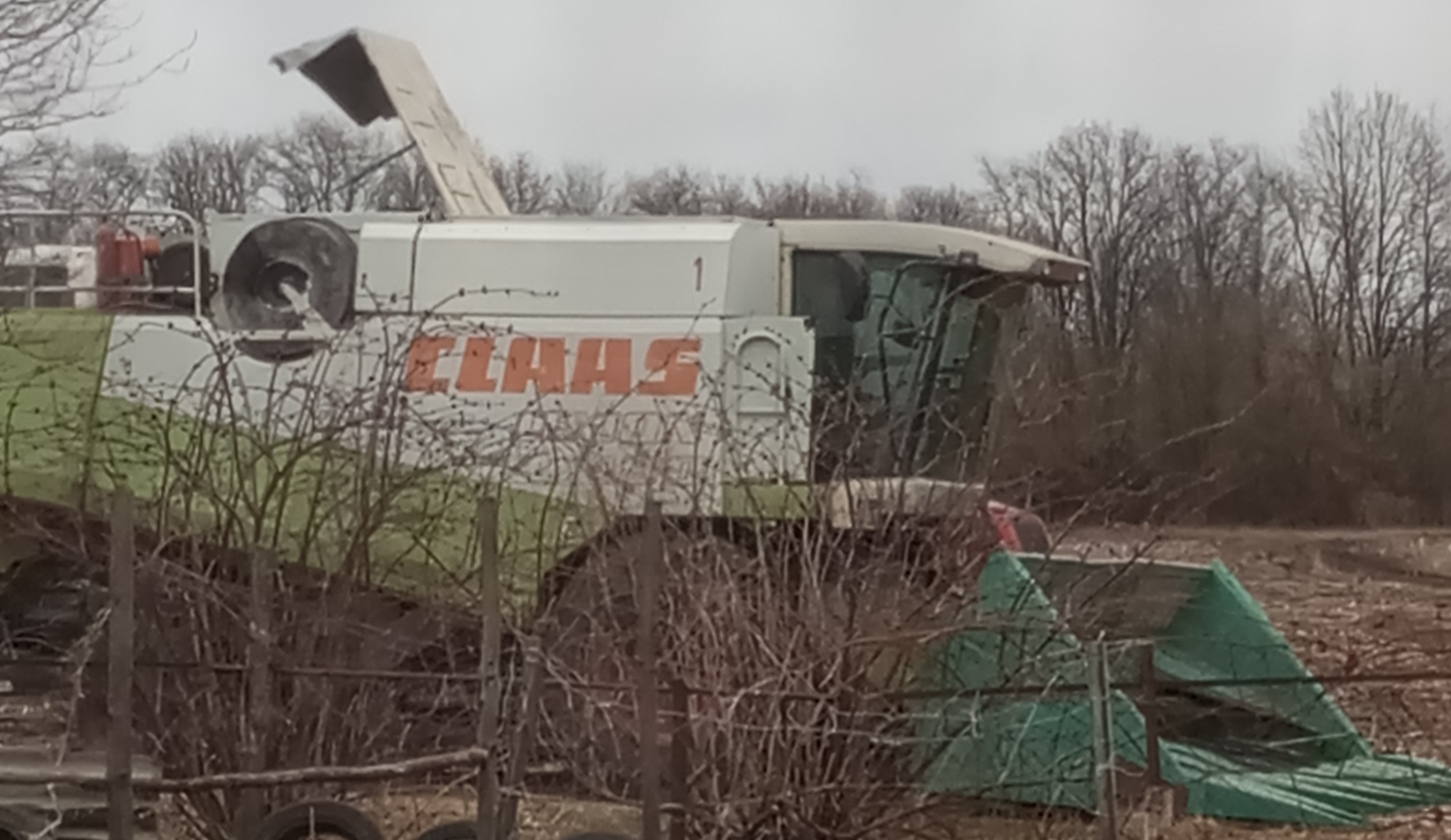 2024-04-05 09-54-13.JPG