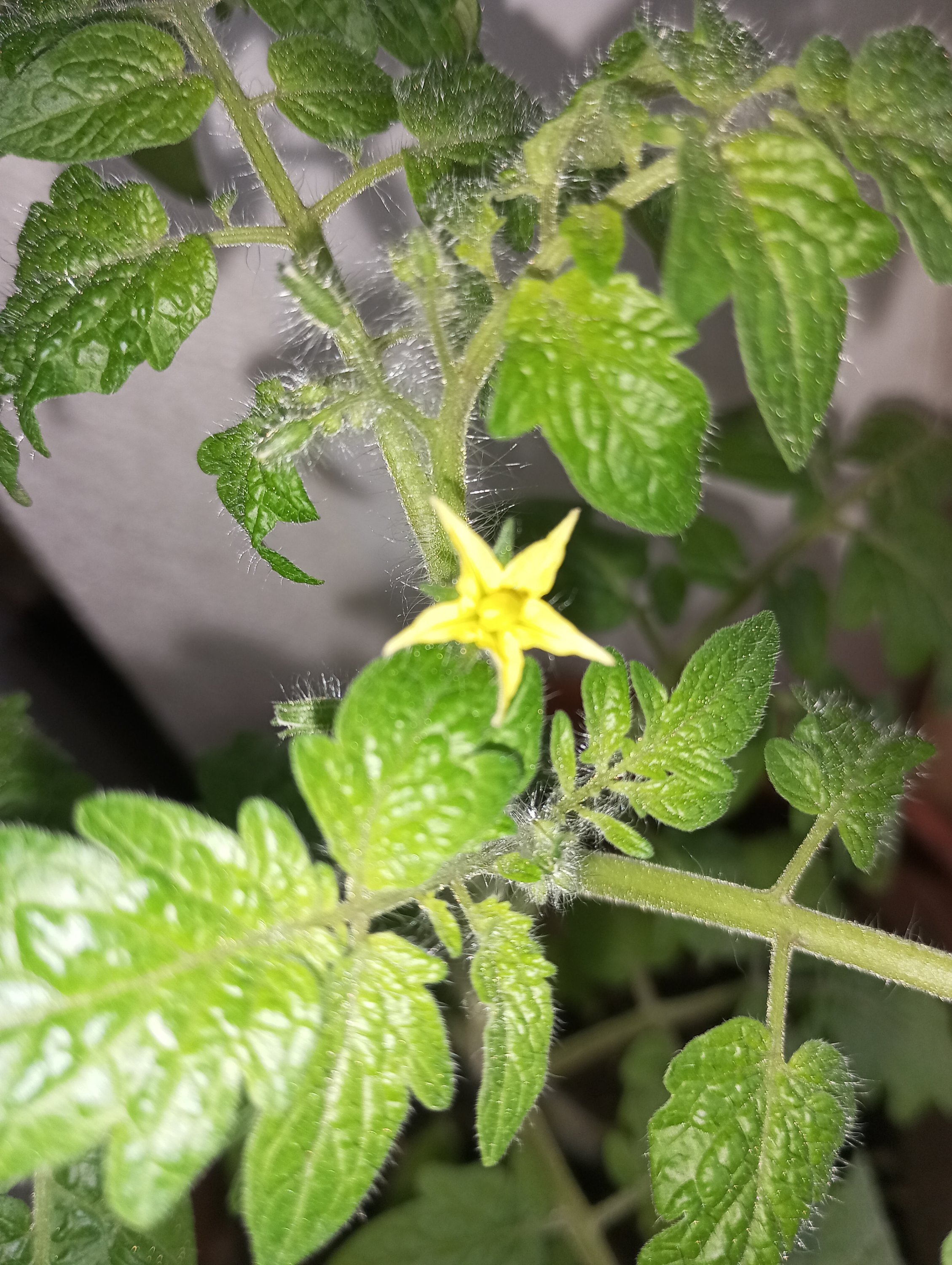 2024-04-05 10-10-38.JPG