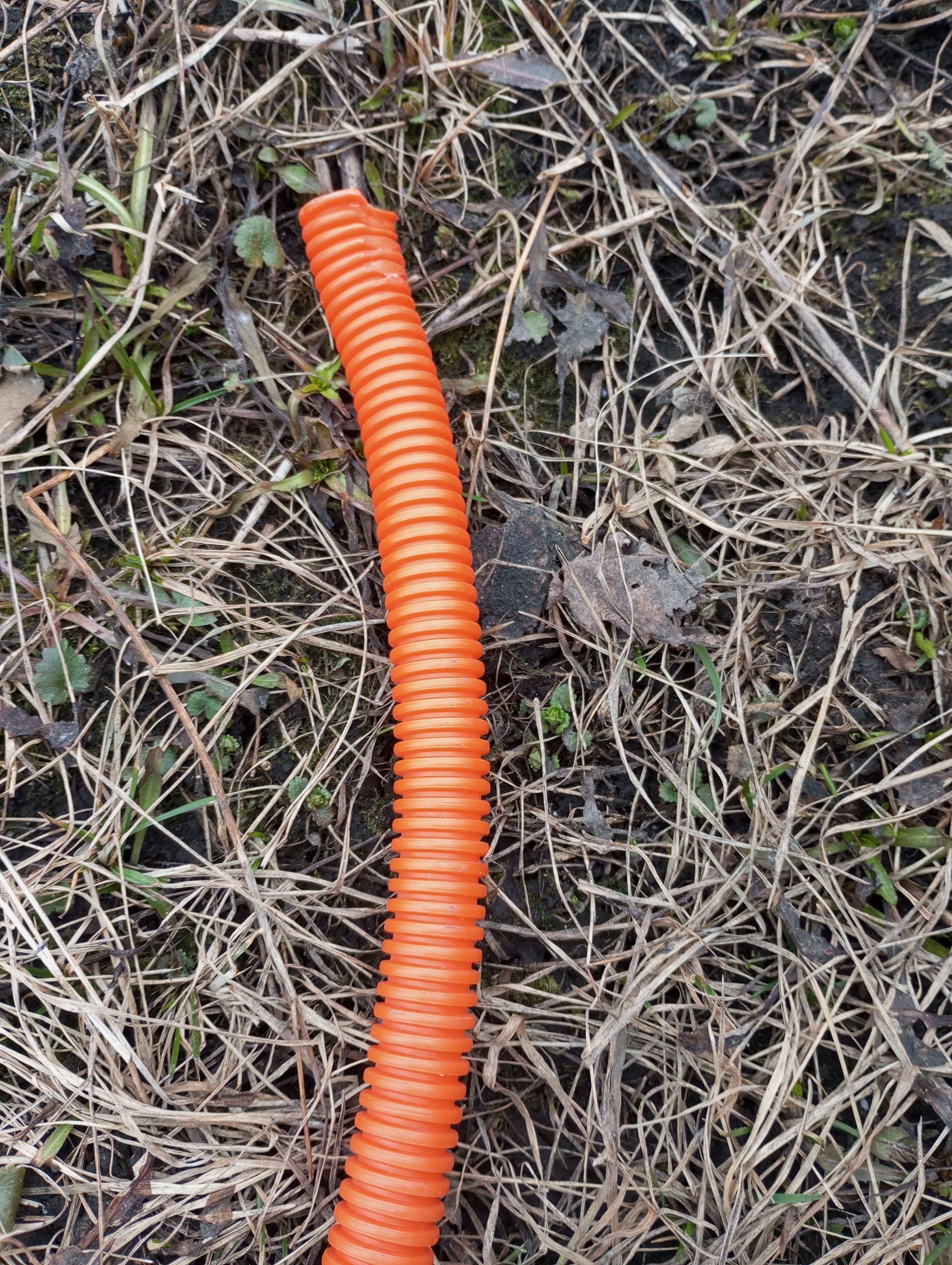 2024-04-05 10-51-39.JPG