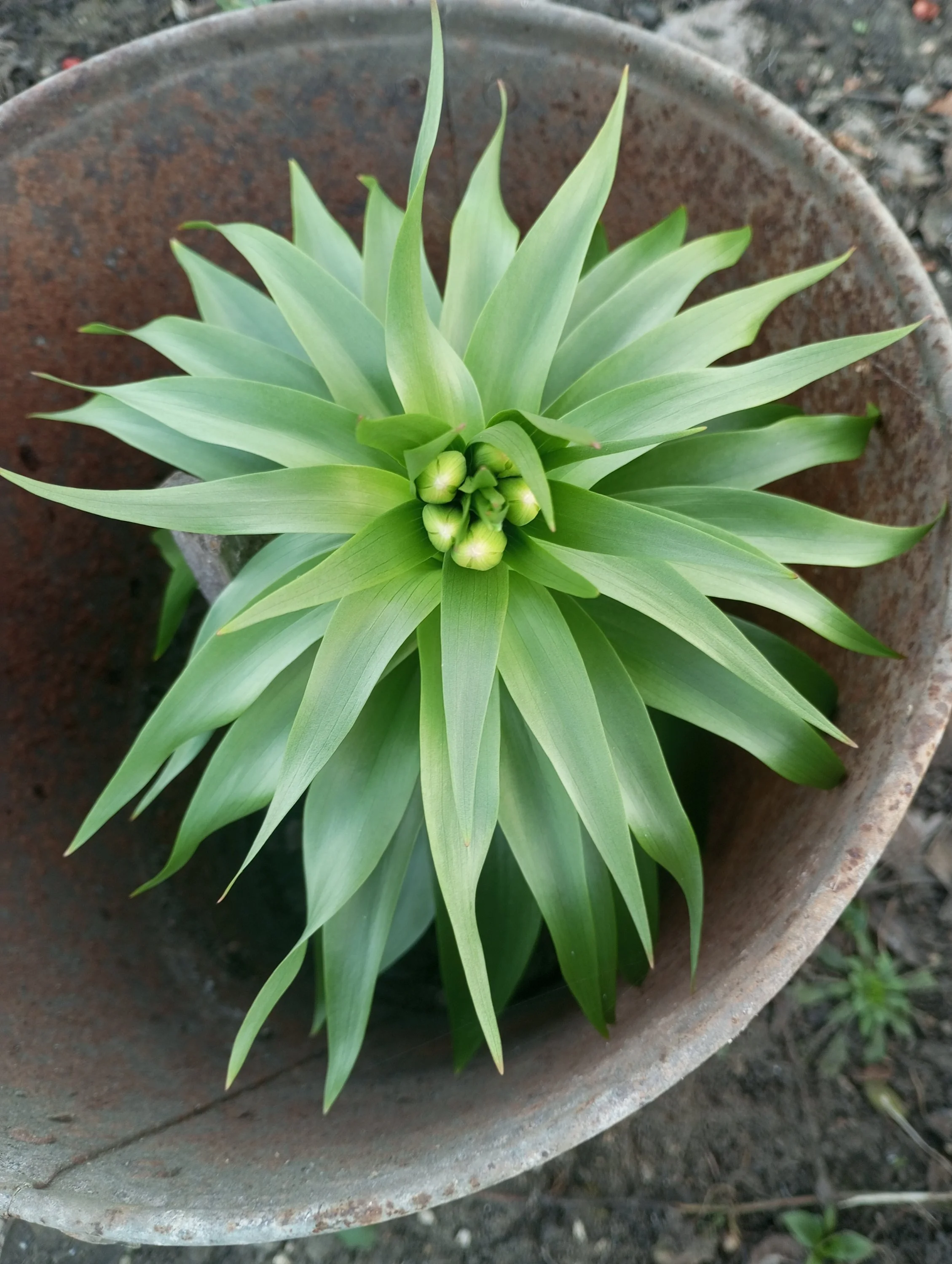 2024-04-10 18-24-57.webp