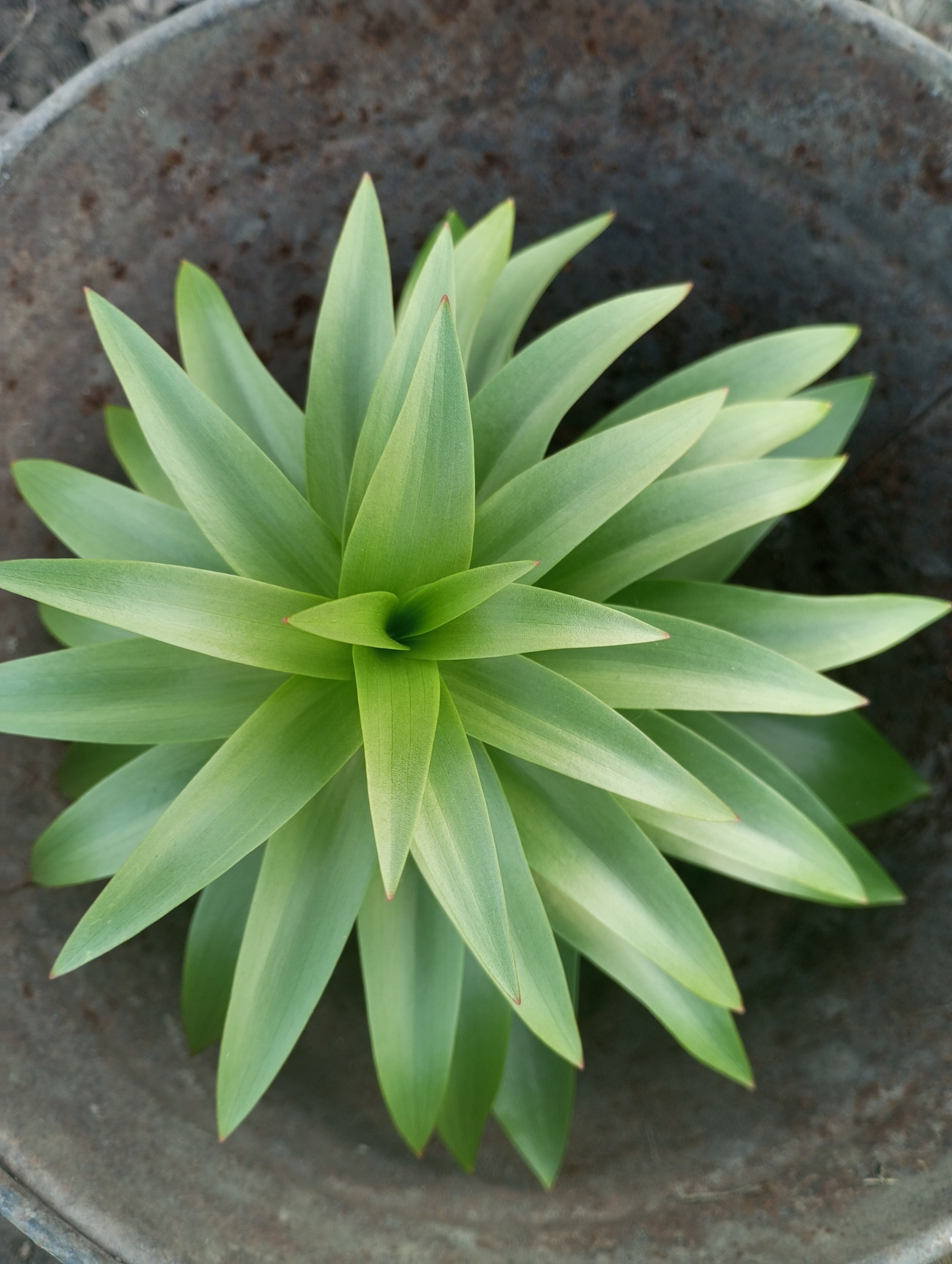 2024-04-10 18-25-01.JPG