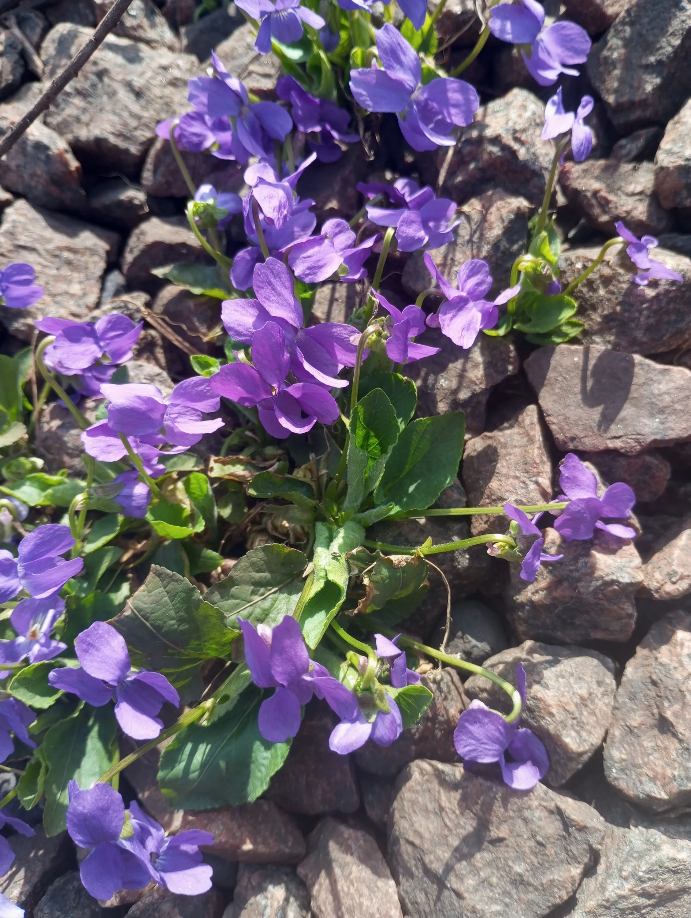 2024-04-11 10-15-12.webp