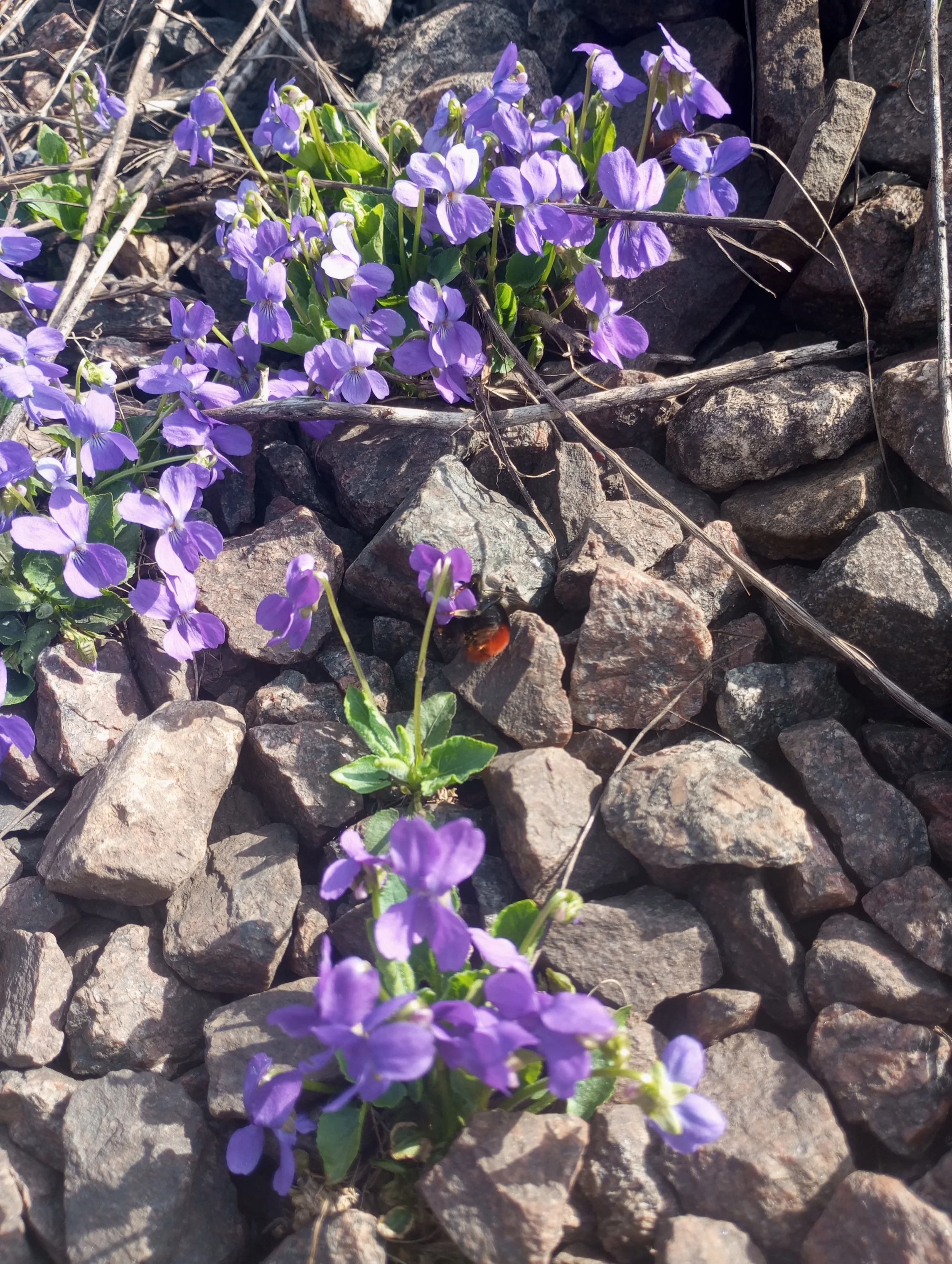 2024-04-11 10-15-17.webp