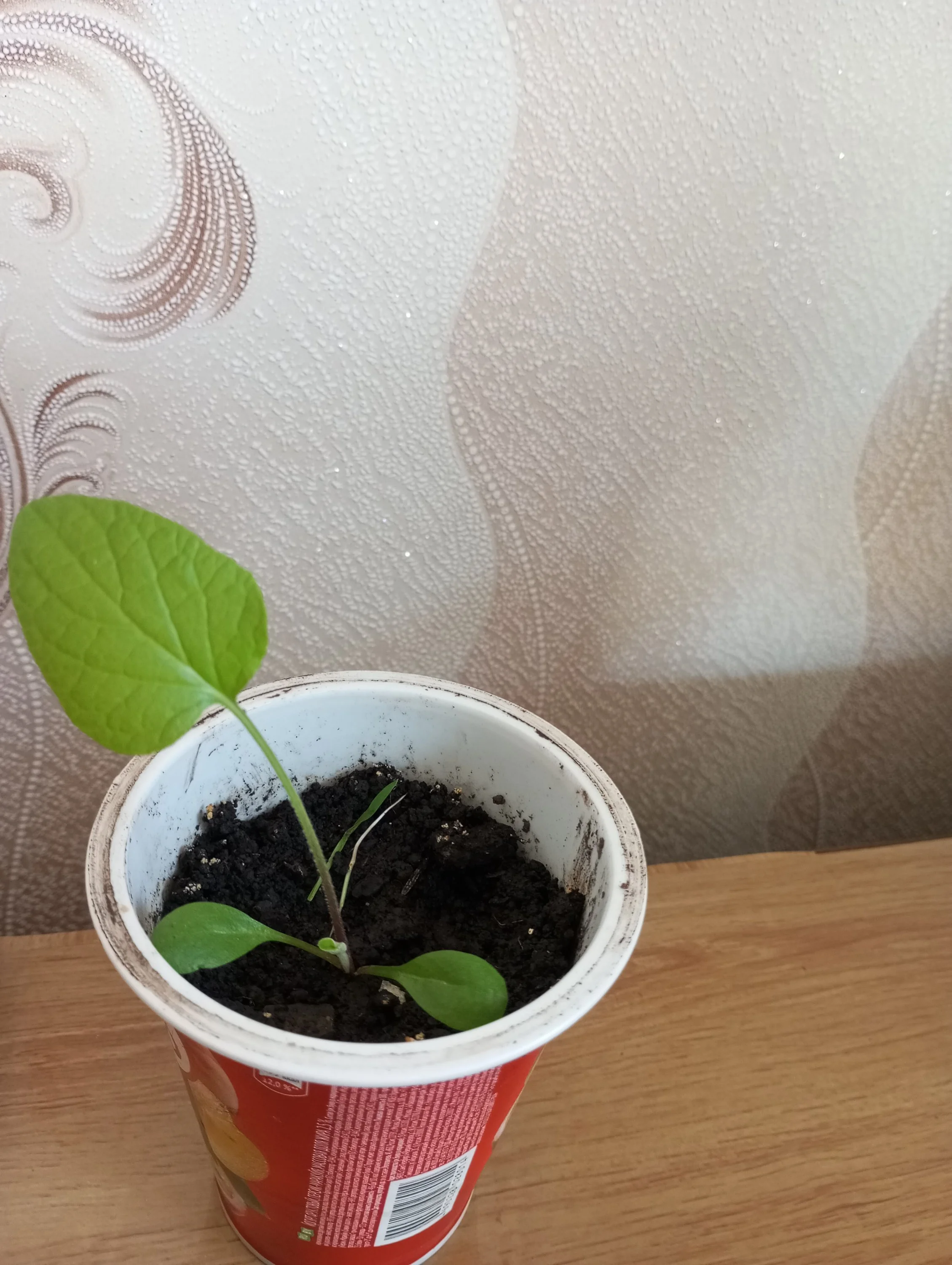 2024-04-12 13-21-48.JPG