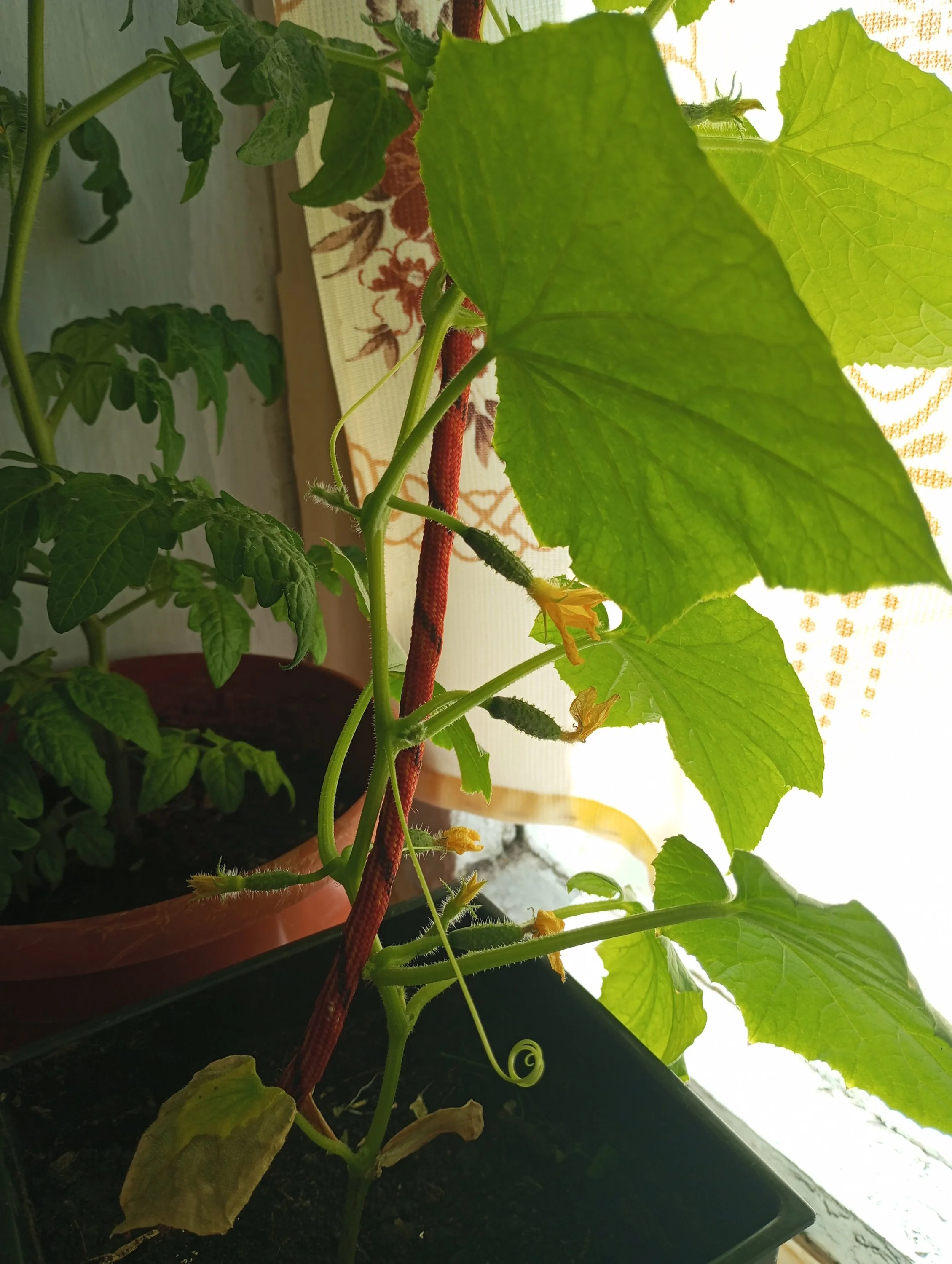 2024-04-12 13-22-17.JPG