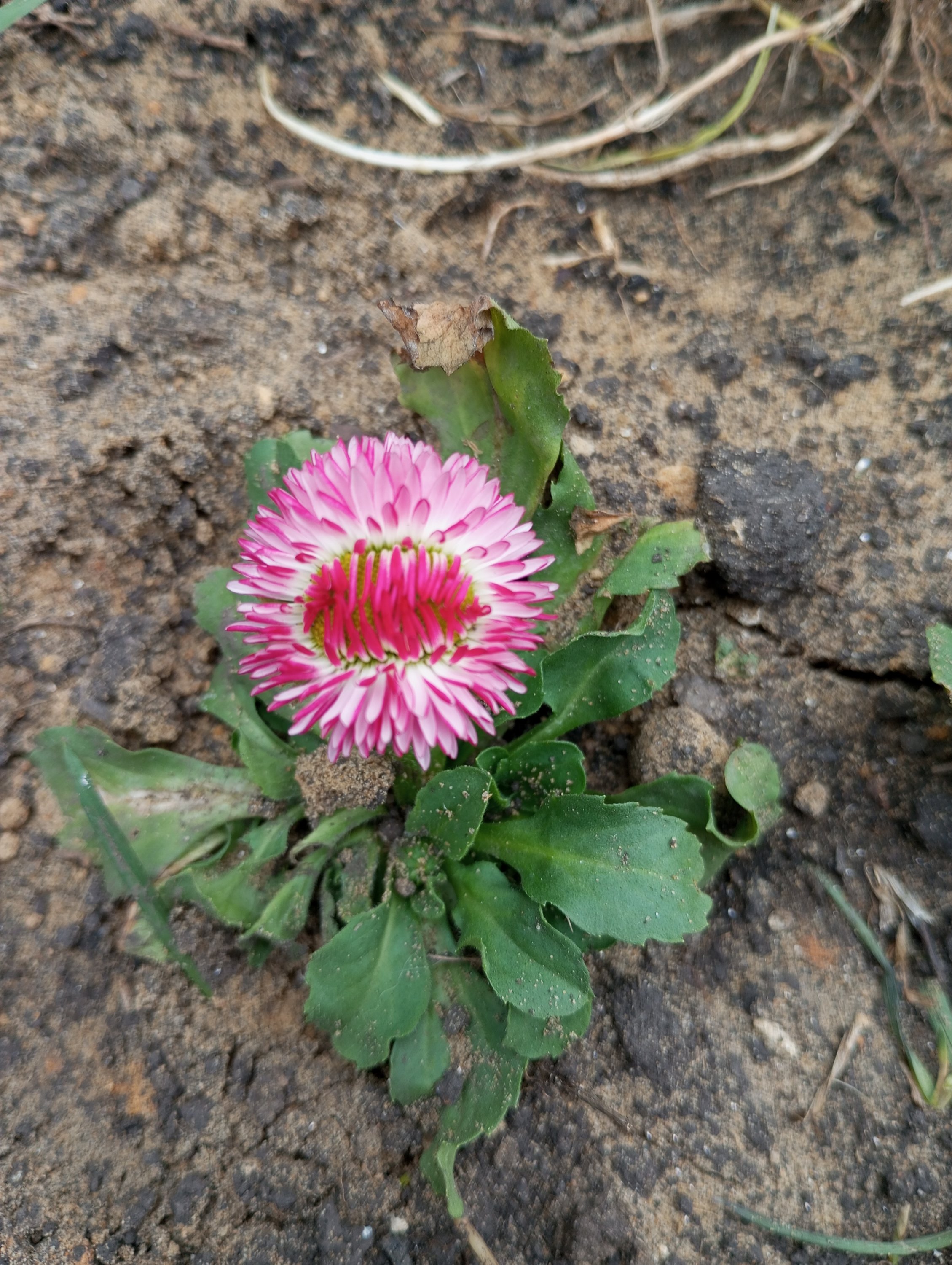 2024-04-13 15-03-44.JPG