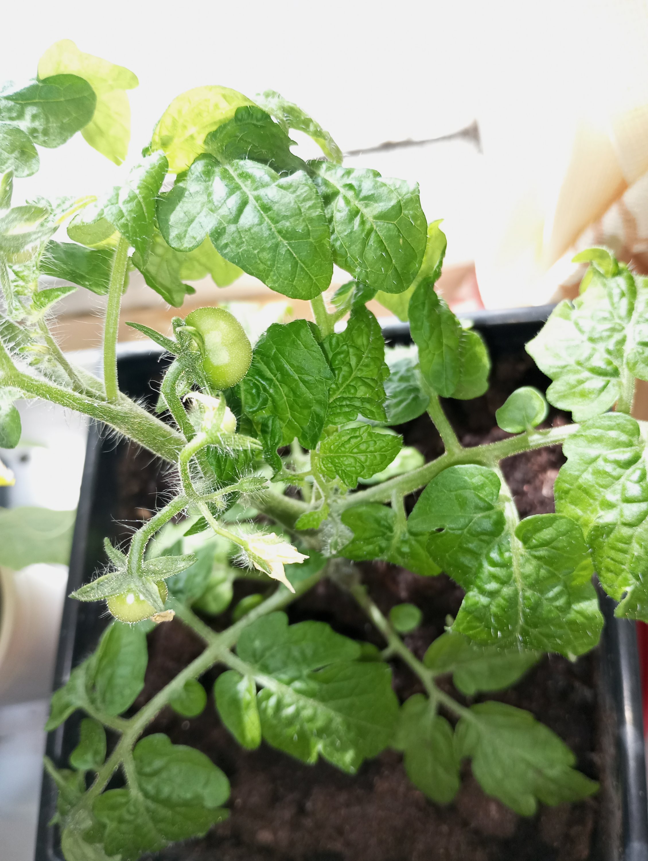 2024-04-15 12-54-50.JPG