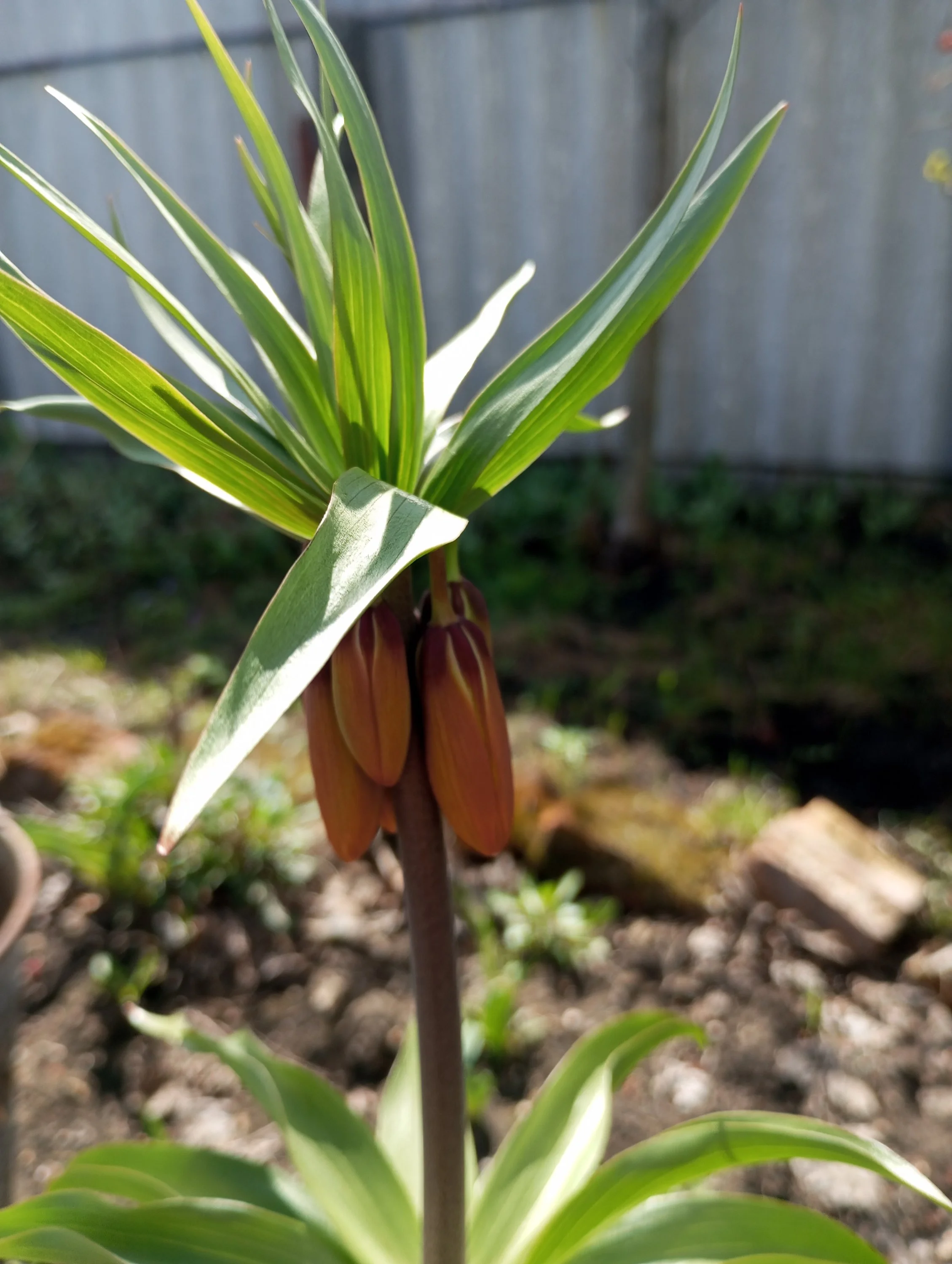 2024-04-15 13-02-31.webp