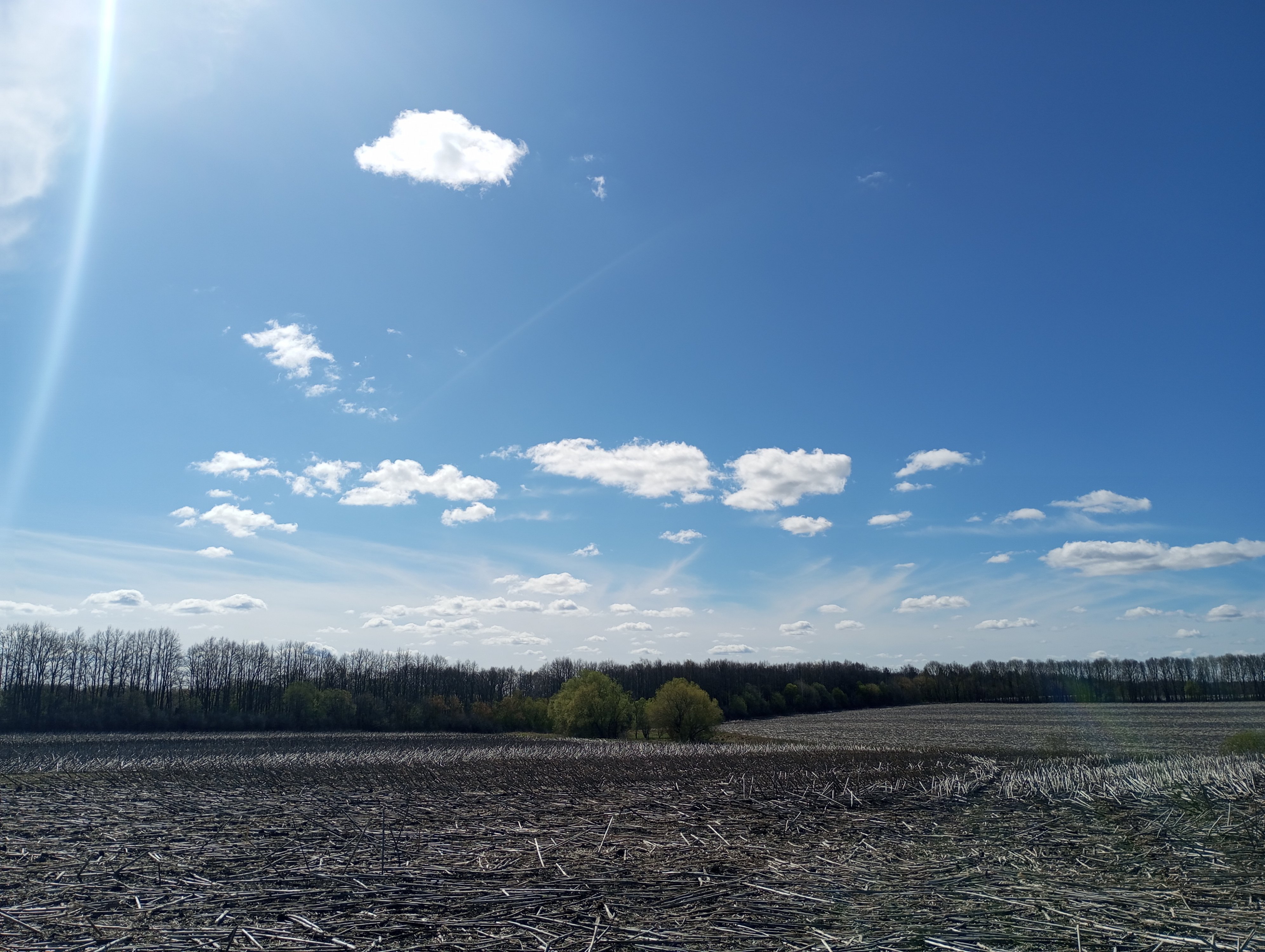 2024-04-16 10-51-24.JPG