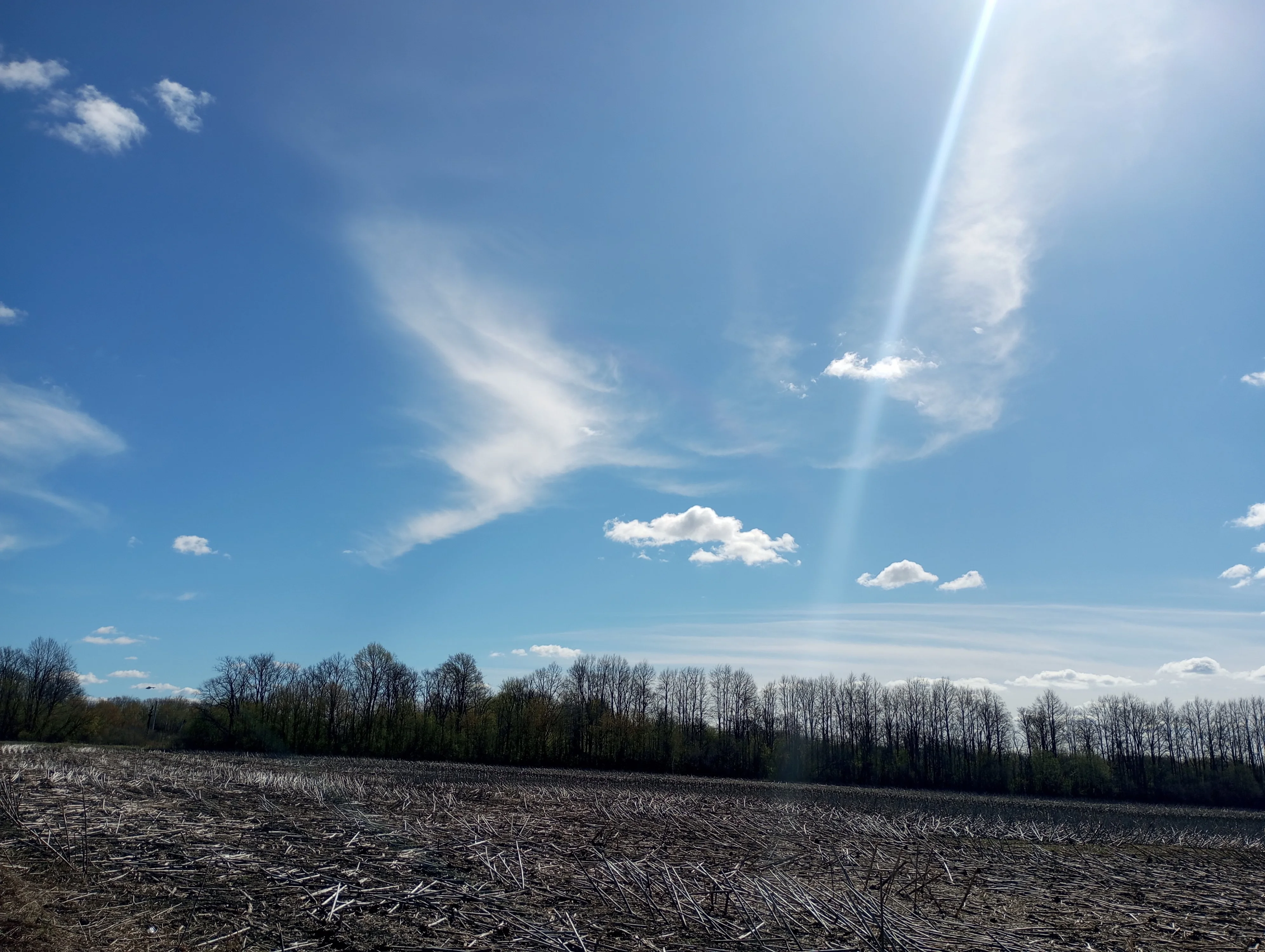 2024-04-16 10-51-34.webp