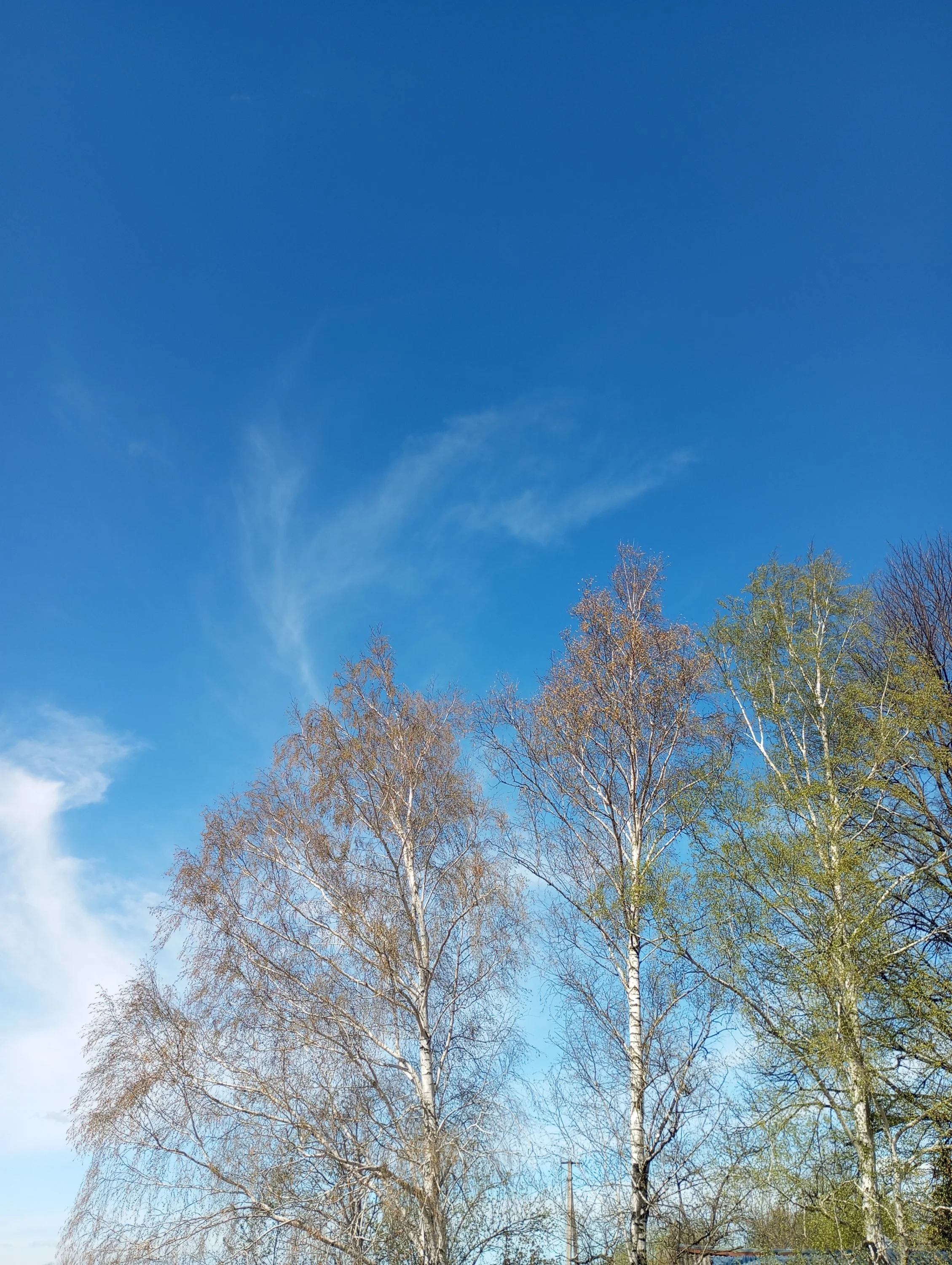 2024-04-16 10-51-39.webp