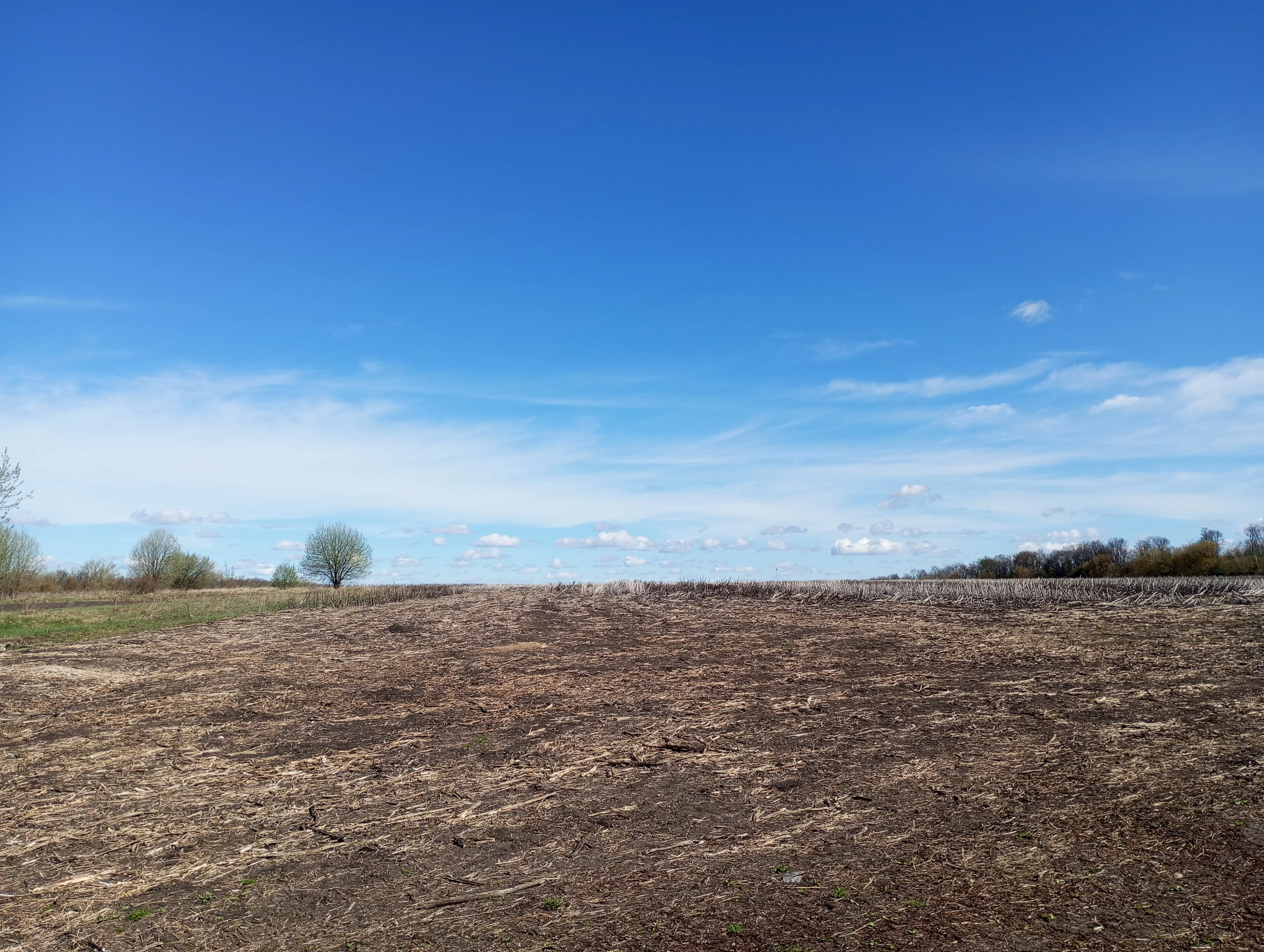 2024-04-16 10-51-48.webp