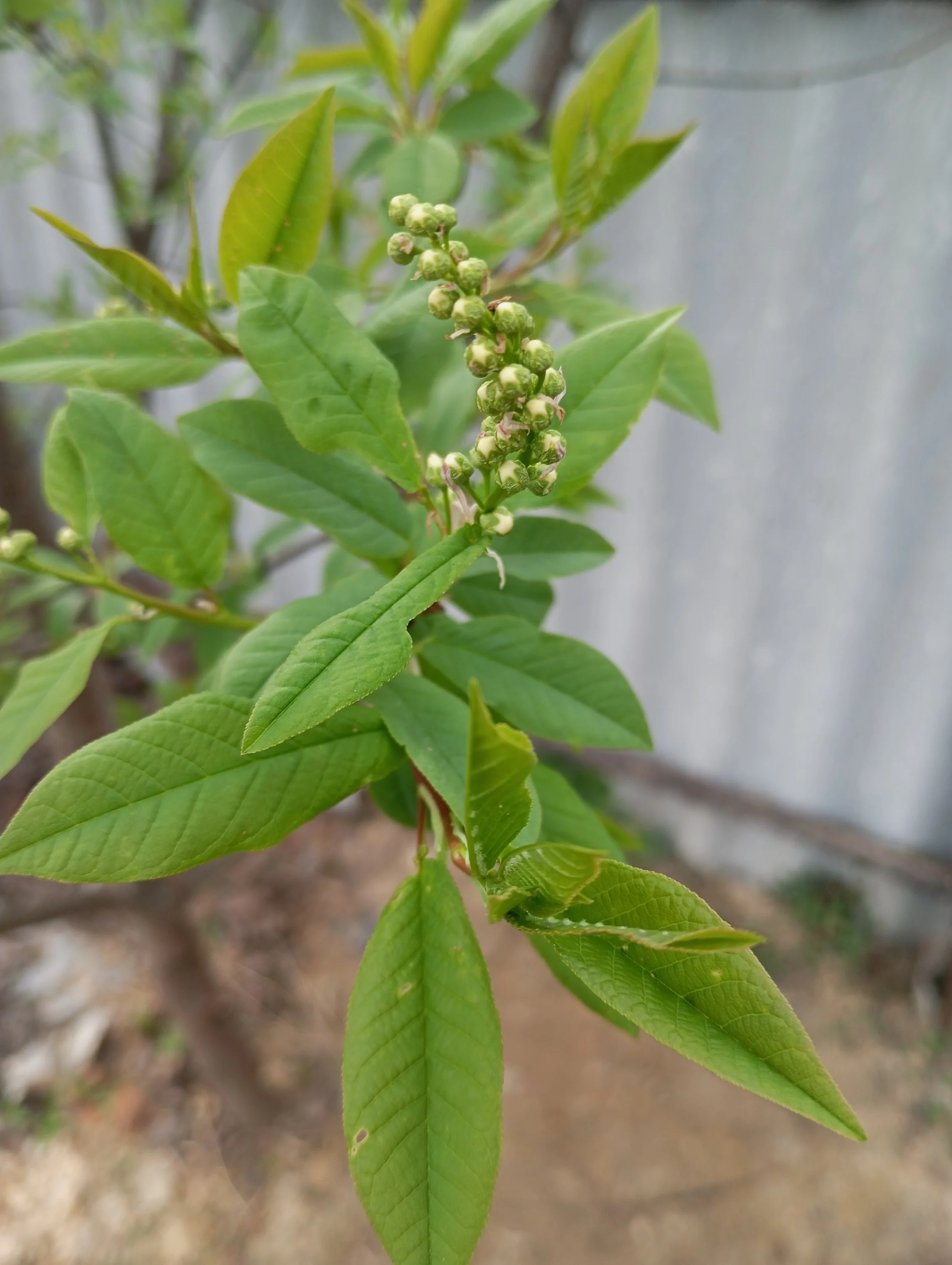 2024-04-16 16-42-18.webp