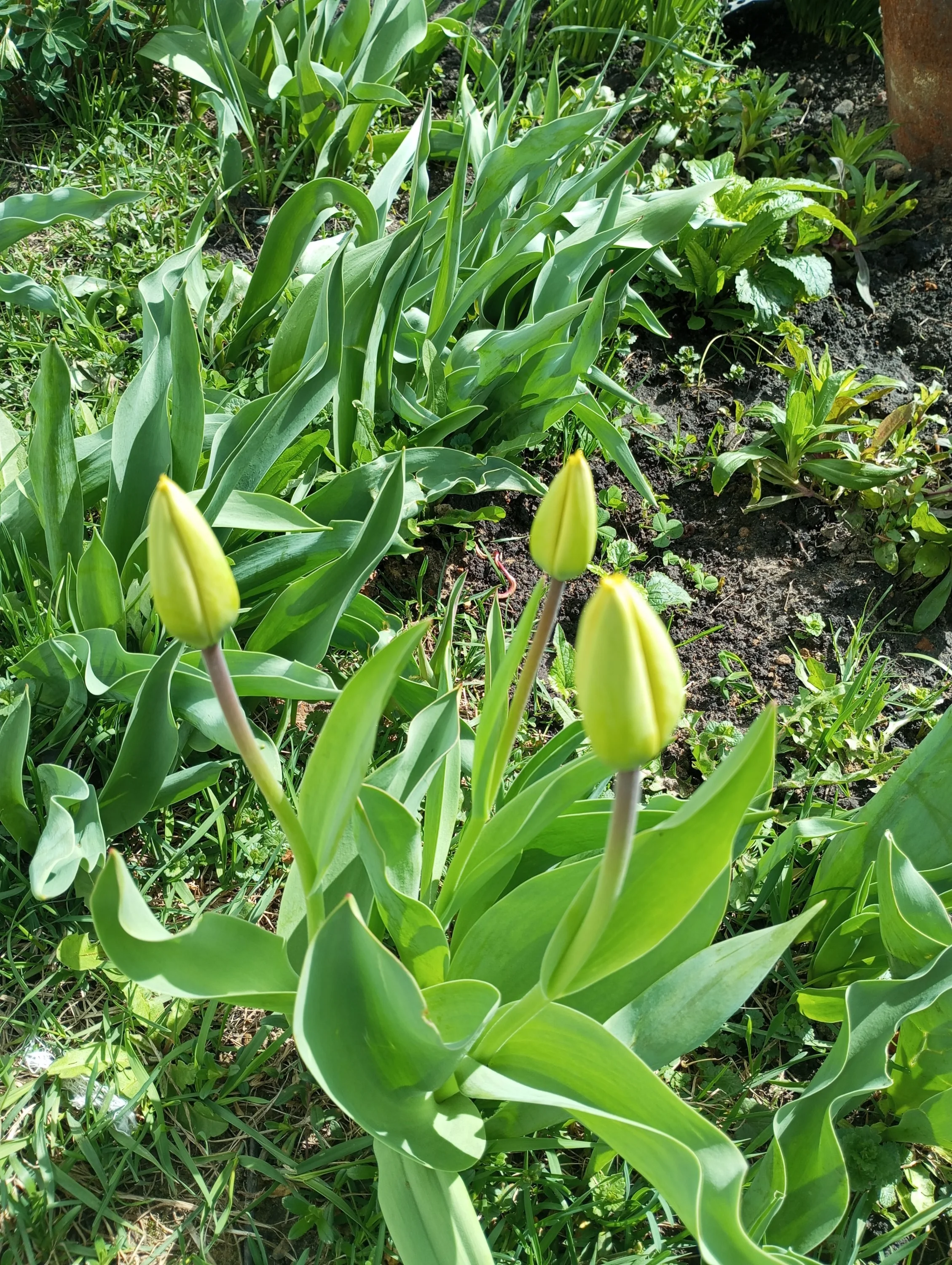 2024-04-20 13-23-30.webp